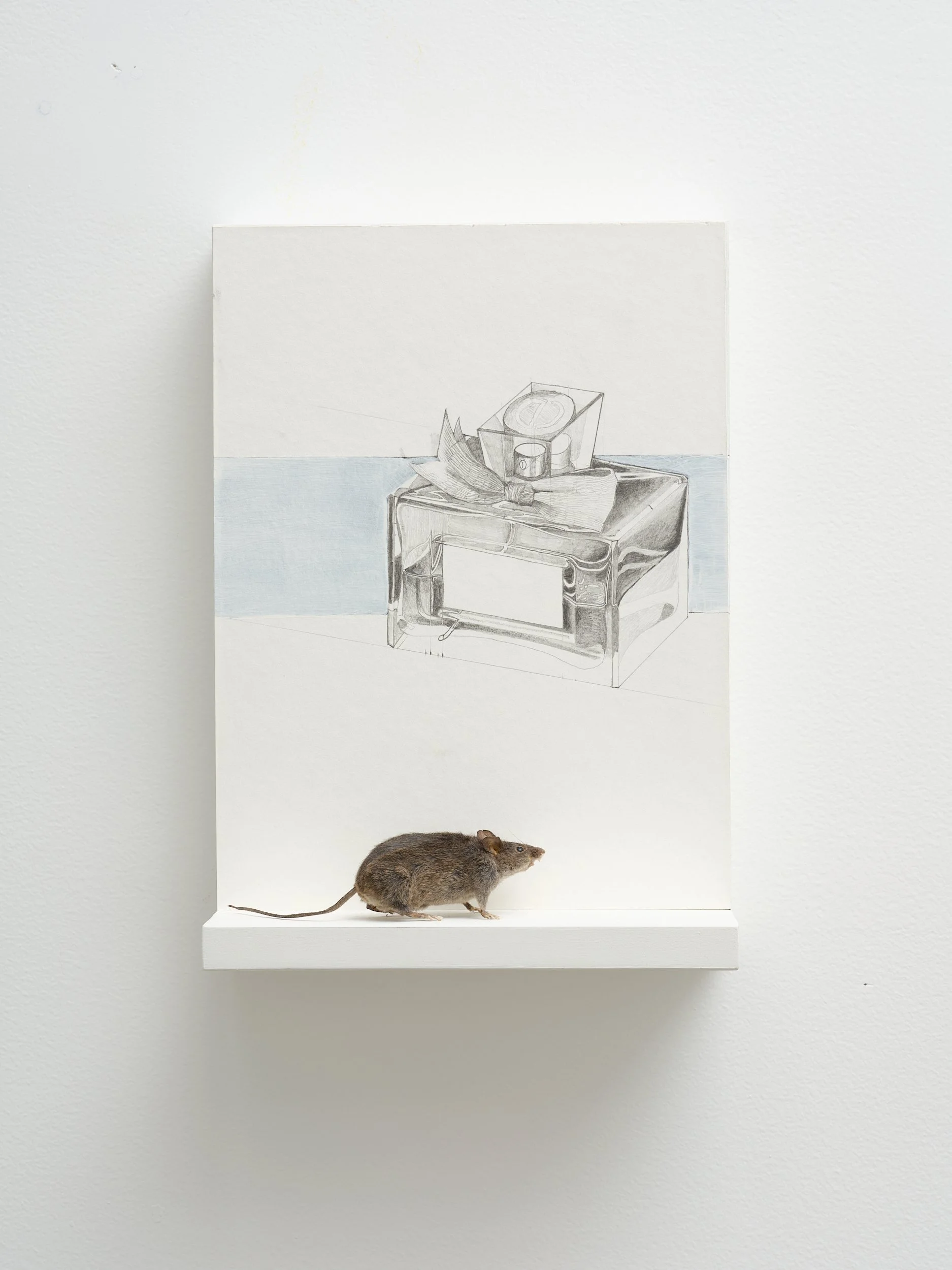   Bottle Diagram  2026 Pencil, gesso on paper, mouse 210 x 297 x 100mm 