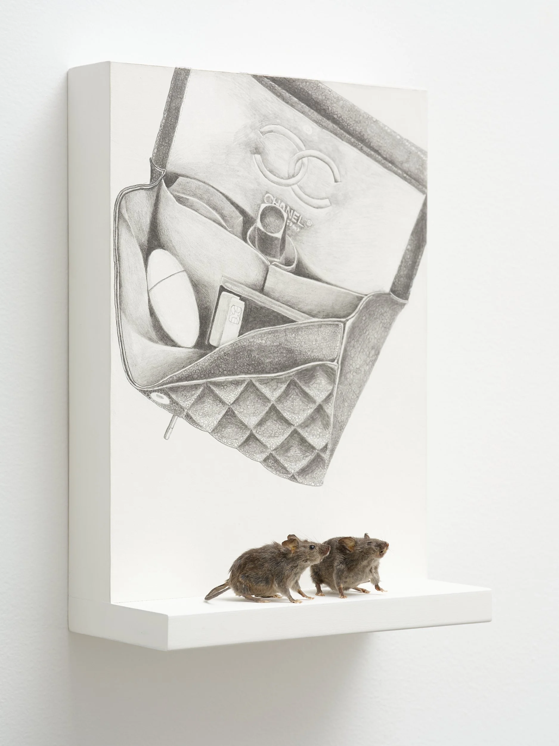   Bag Diagram  2026 Pencil, gesso on paper, mouse 210 x 297 x 100mm 