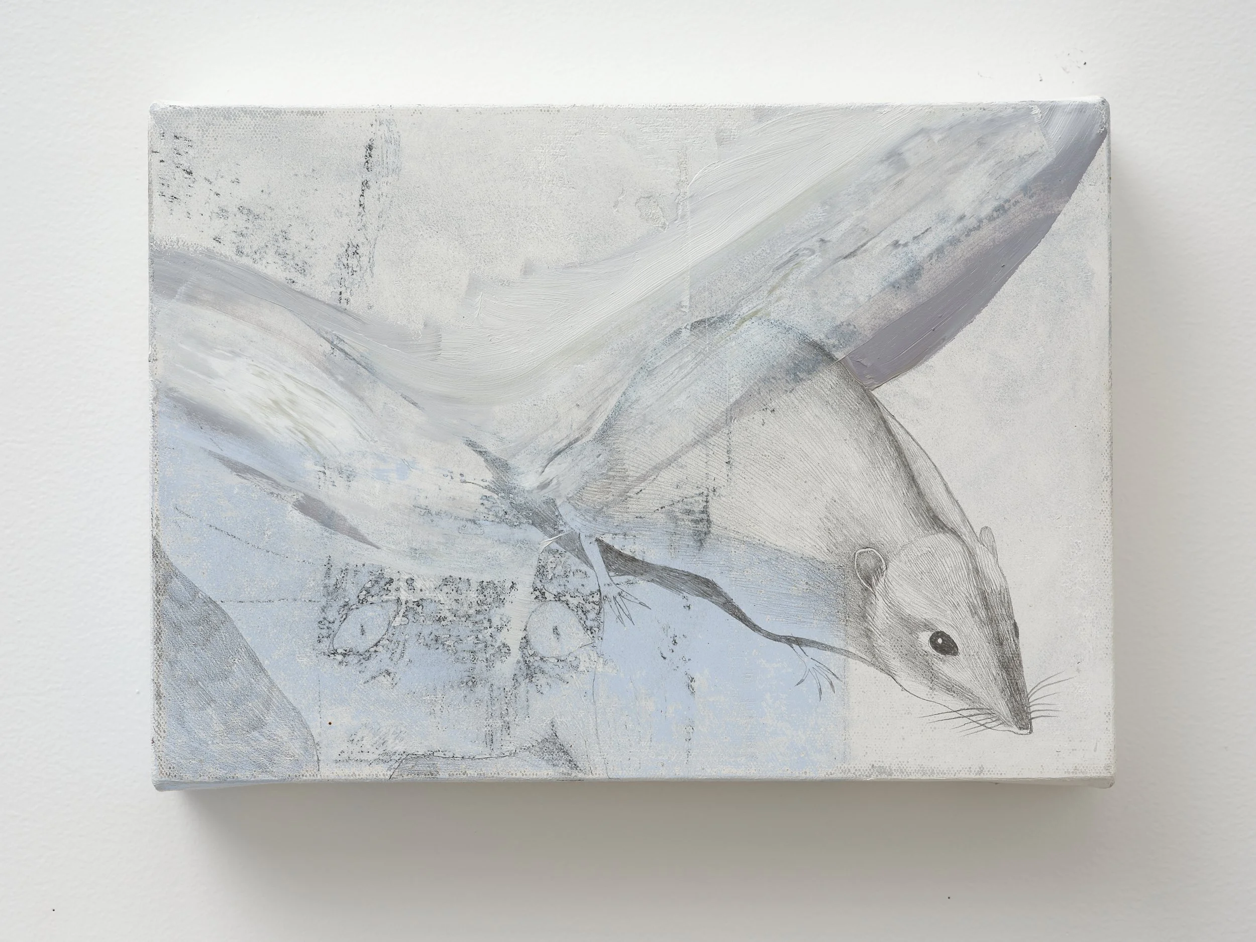   Veil  2026 Oil and pencil on canvas 210 x 297 x 45mm 