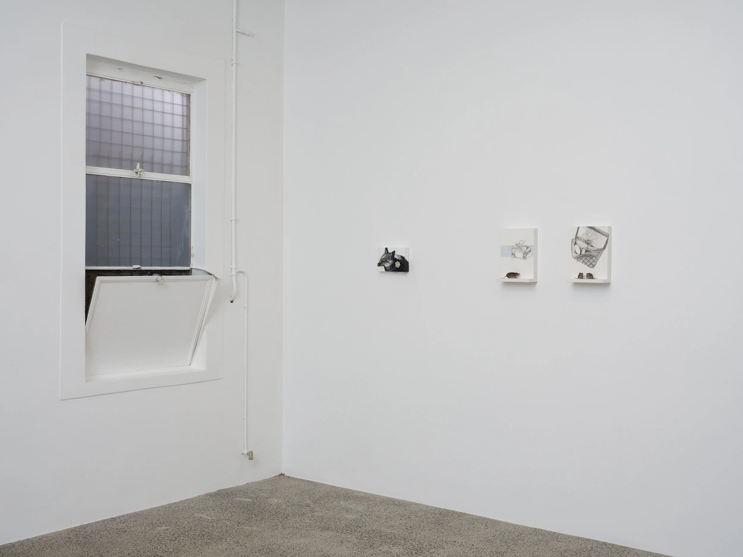  August Ward,  World of Interiors  - installation view 