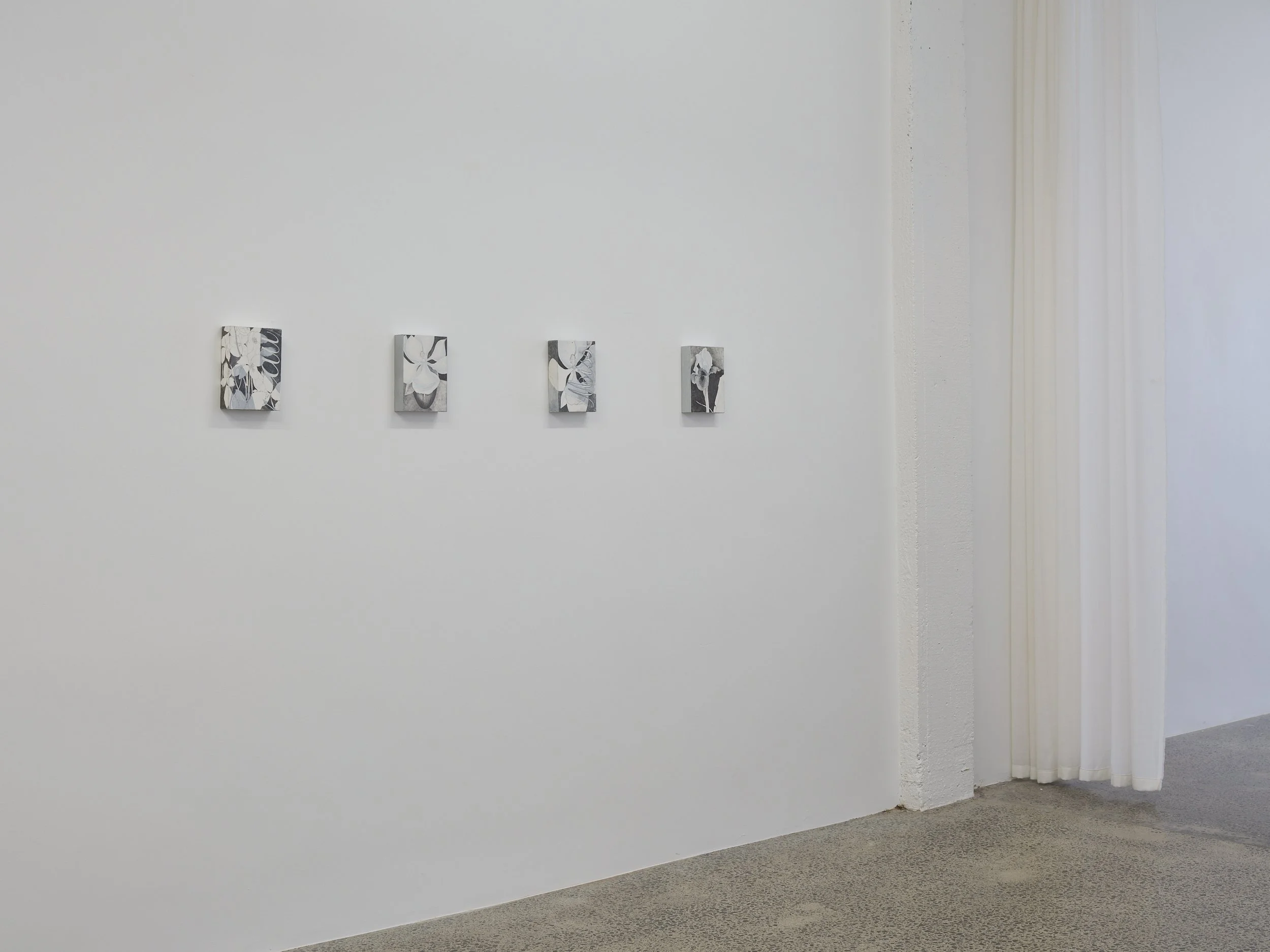  August Ward,  World of Interiors  - installation view 