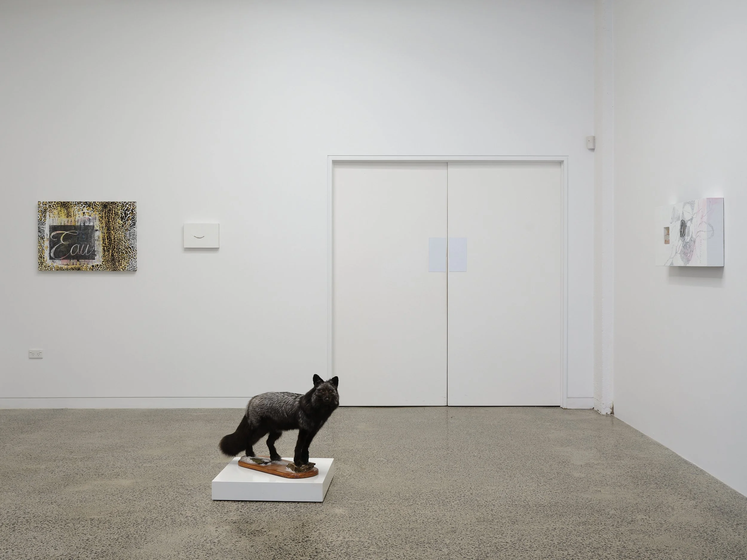  August Ward,  World of Interiors  - installation view 