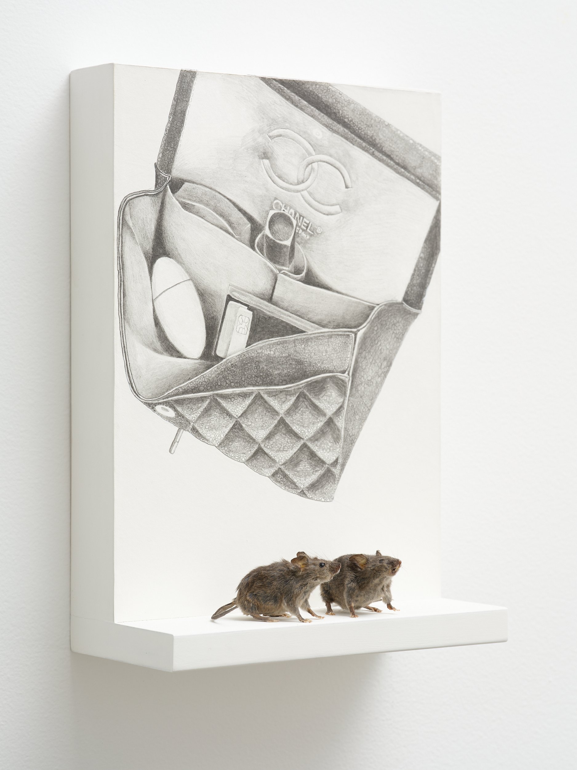   Bag Diagram  2026 Pencil, gesso on paper, mouse 210 x 297 x 100mm 