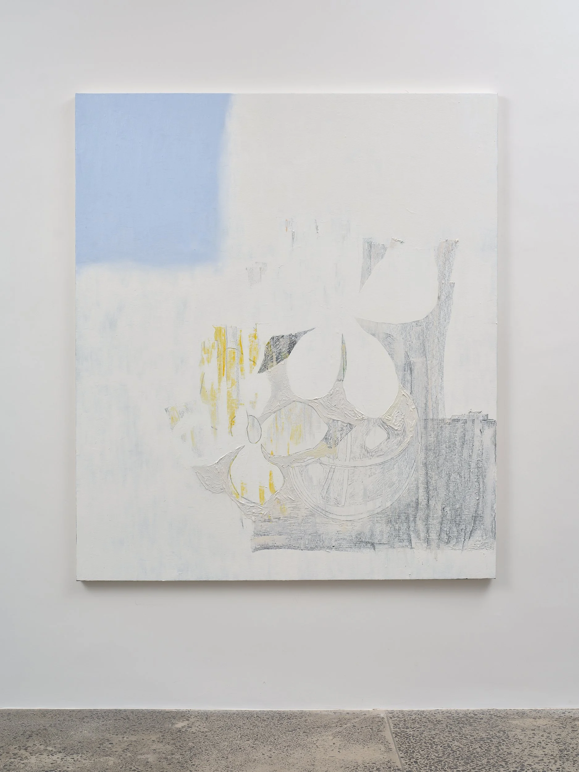   Day Sleep  2024 oil, graphite on canvas board 1855 x 1600mm 