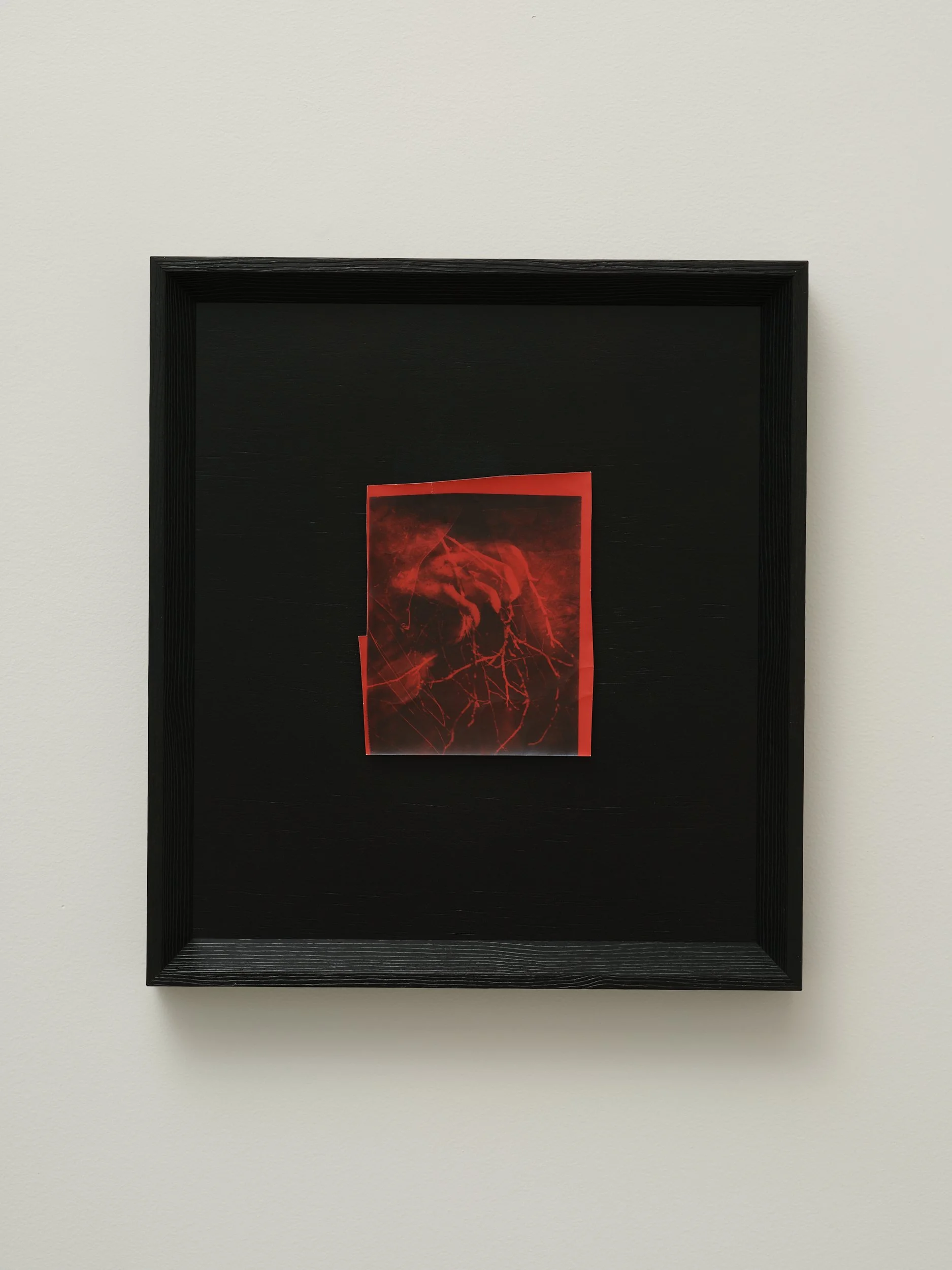   Myth  2010/2026 unique silver gelatin print 405 x 365mm (framed) 