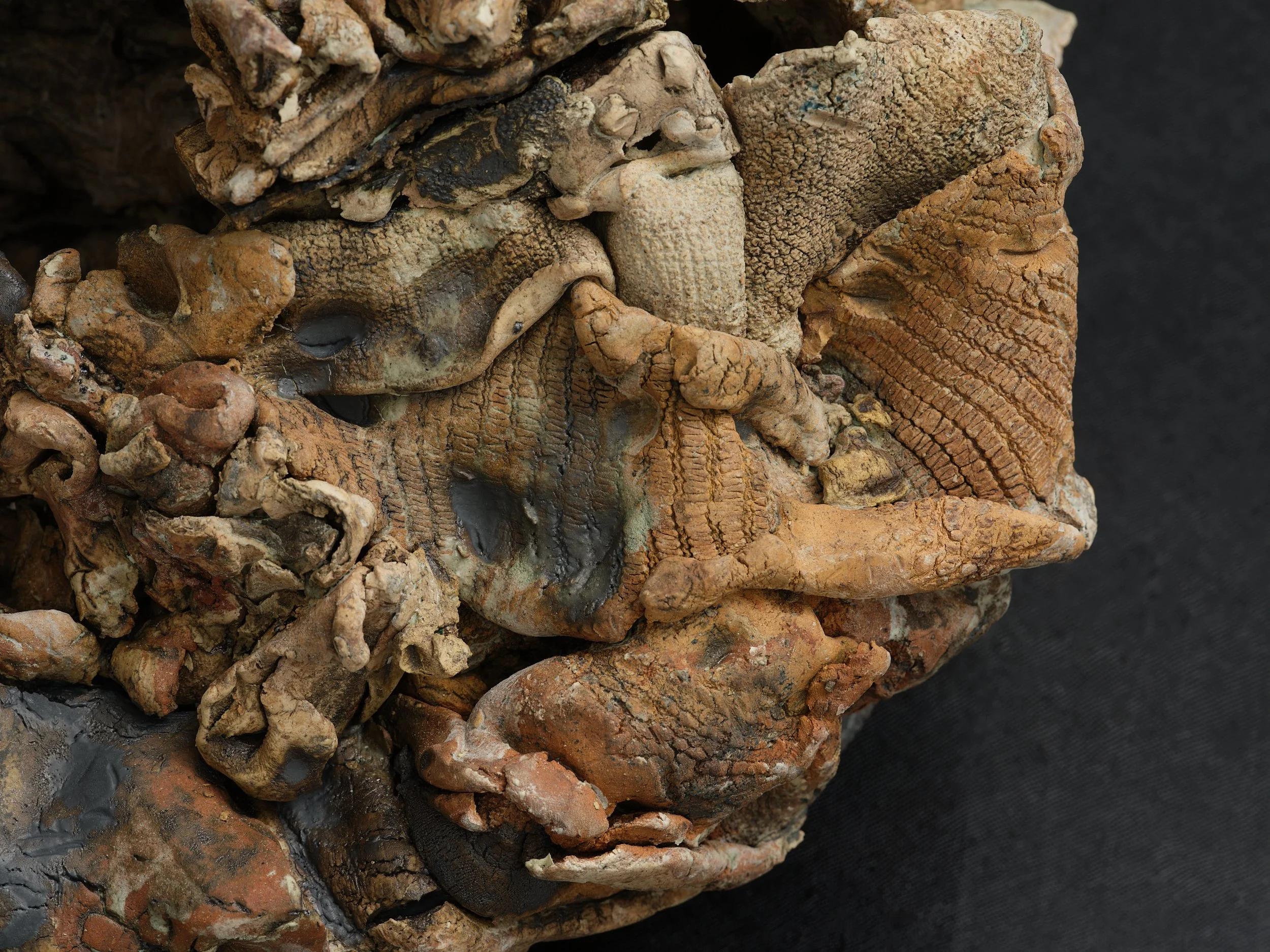   Drift  (detail) 2024/2026 clay, pigment, oxide, glass, goat skin on board 420 × 3260 × 220mm 