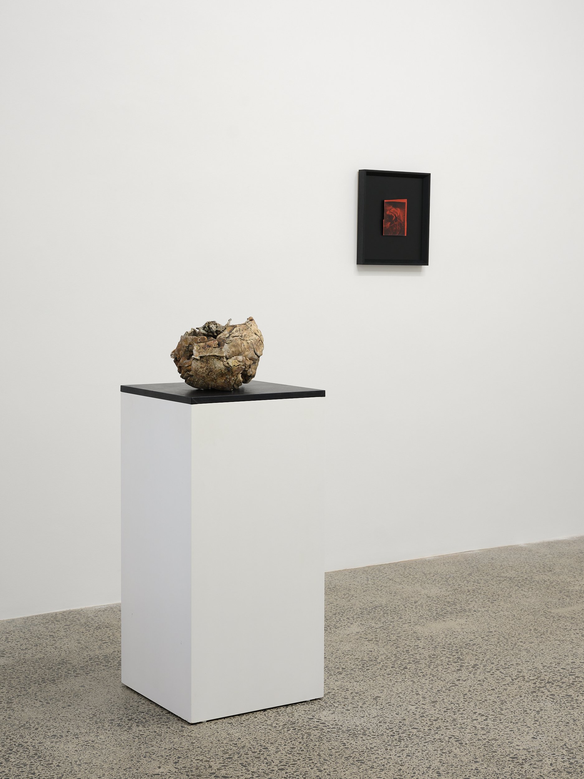   Drift  2024/2026 clay, pigment, oxide, glass, goat skin on board 420 × 3260 × 220mm    Myth  2010/2026 unique silver gelatin print 405 x 365mm (framed) 
