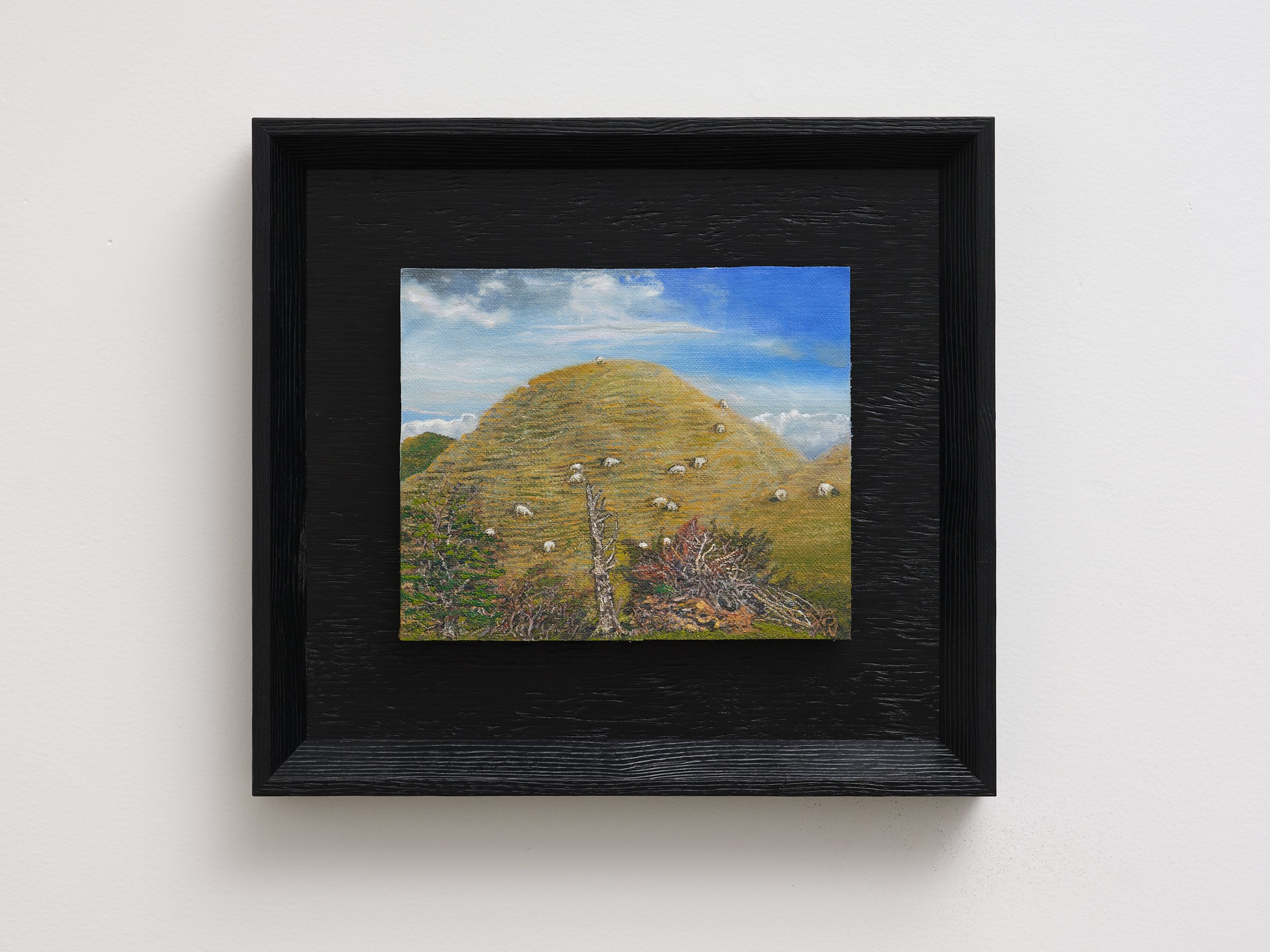  Sleepy (Pukehoi Hill)  2026 oil on board 315 x 345mm 