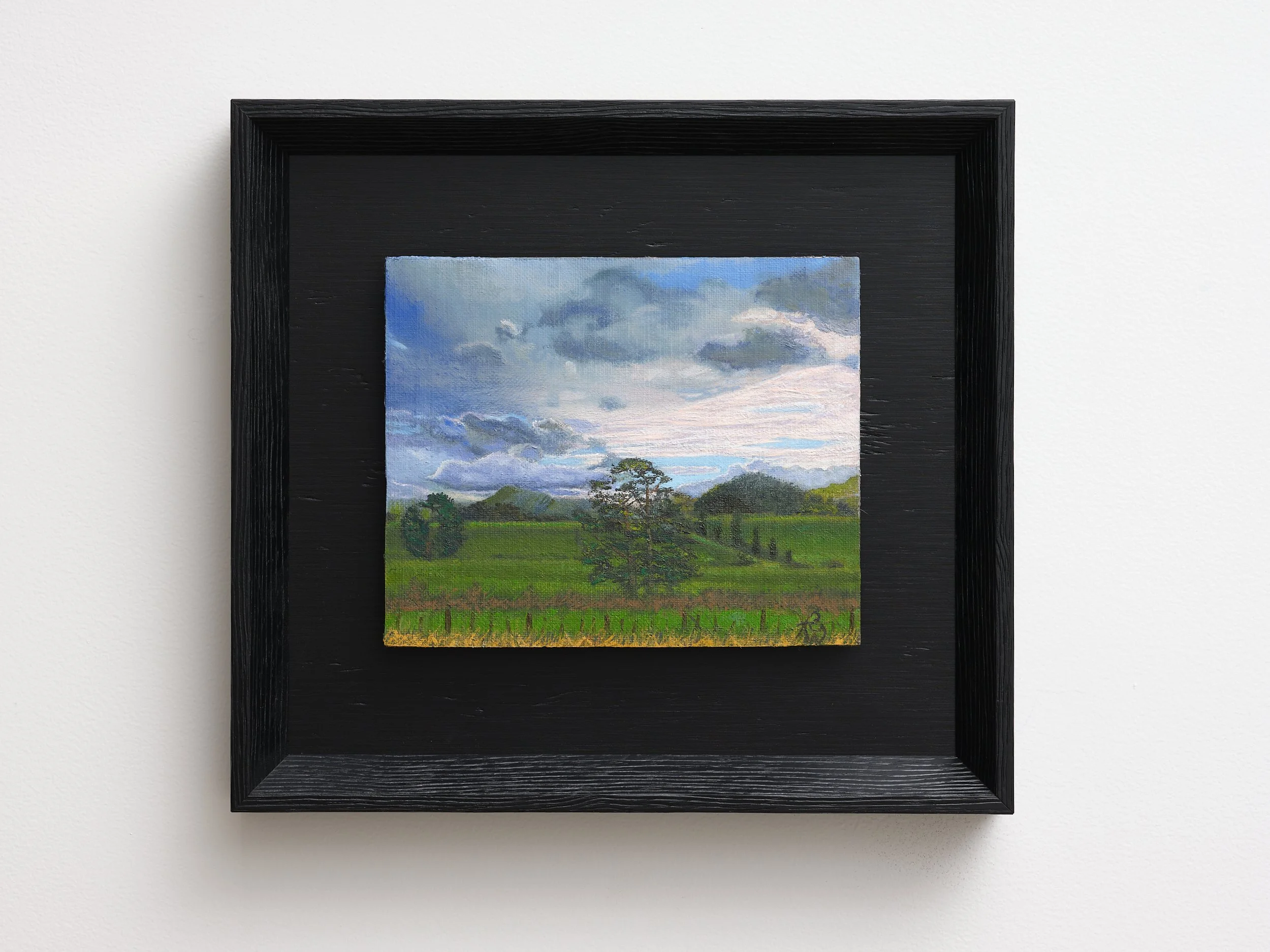   Opaki Road (Highway Two Looking West)  2026 oil on board 315 x 345mm 