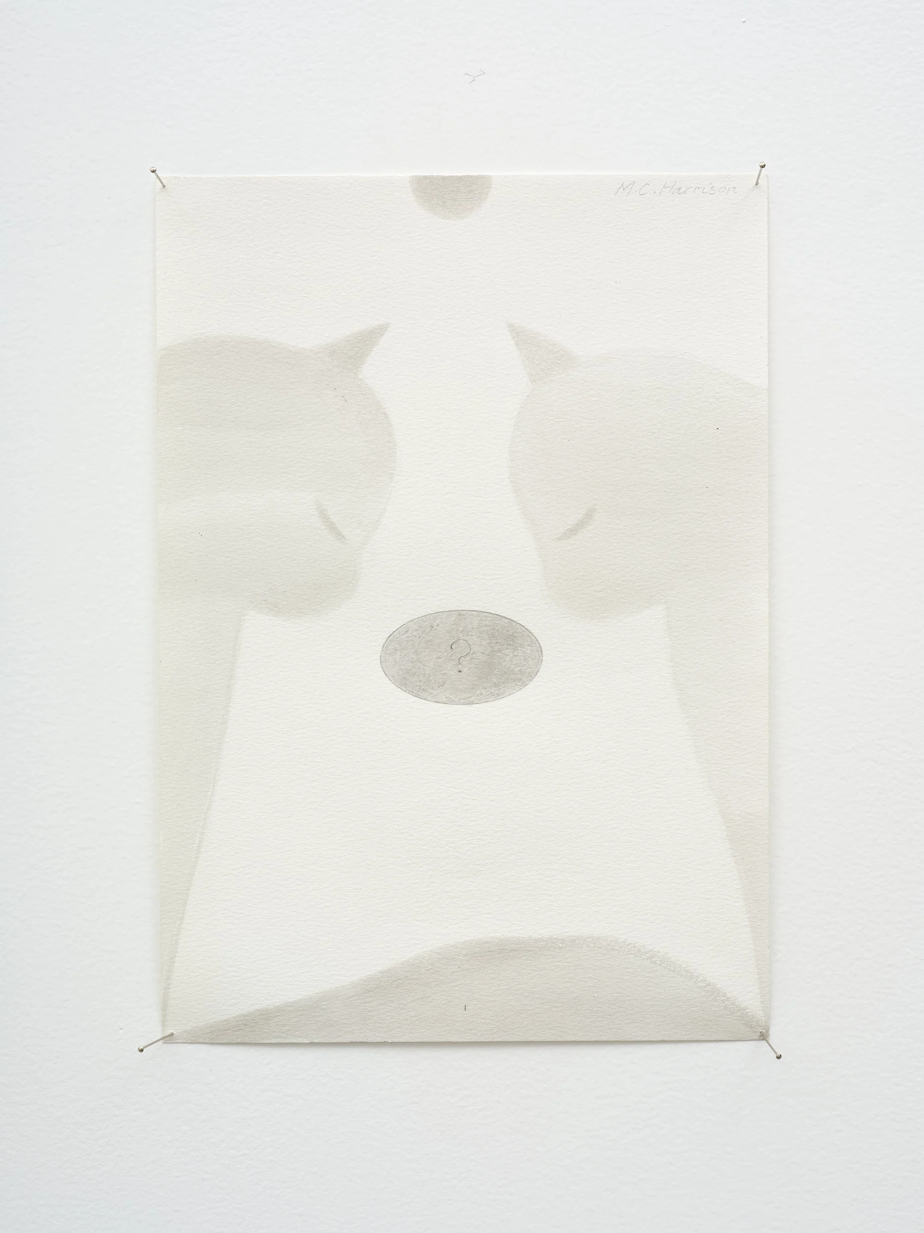   Question Mark  2002-2026 acrylic on paper 297 x 210mm 