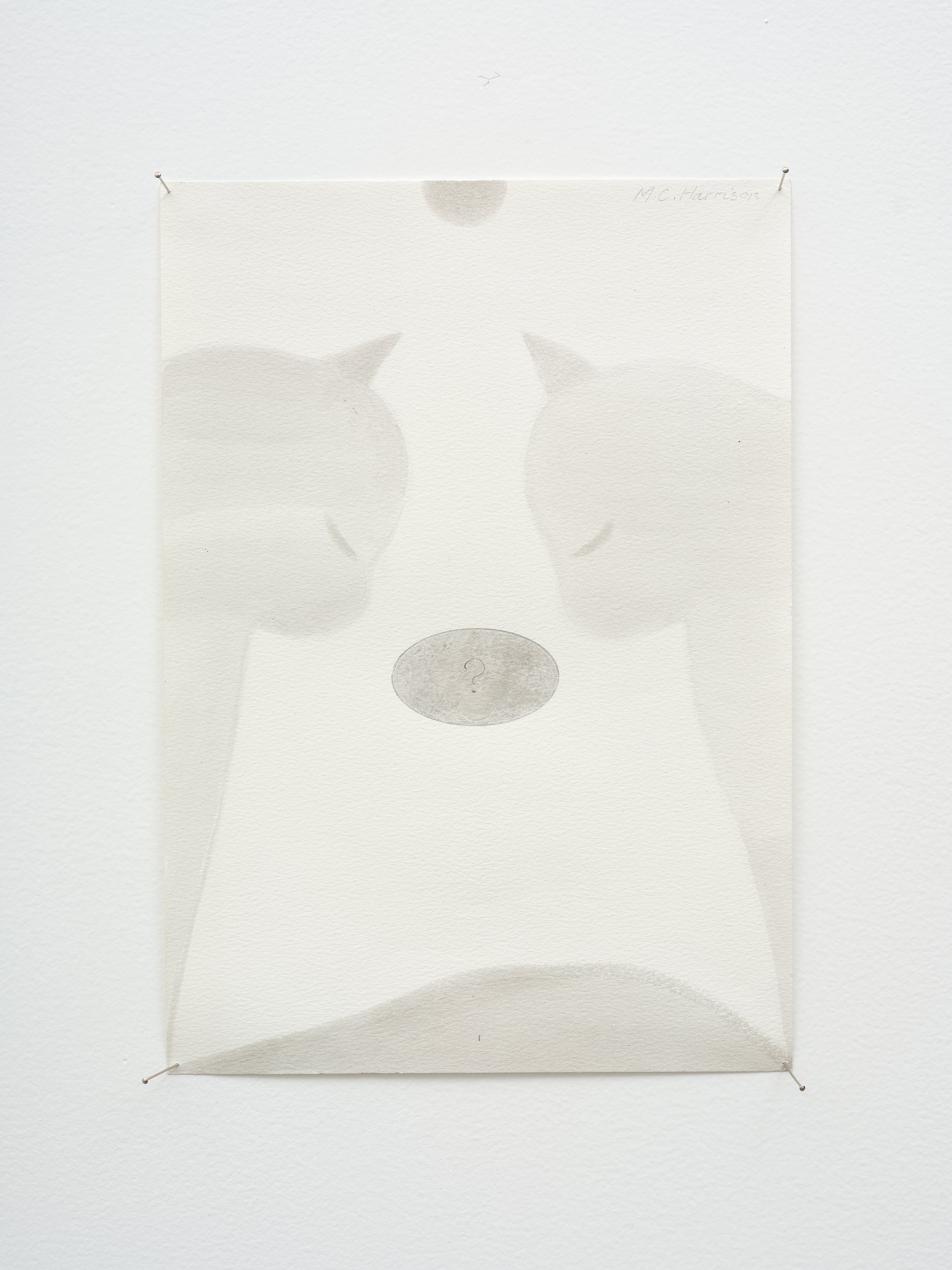   Question Mark  2002-2026 acrylic on paper 297 x 210mm 