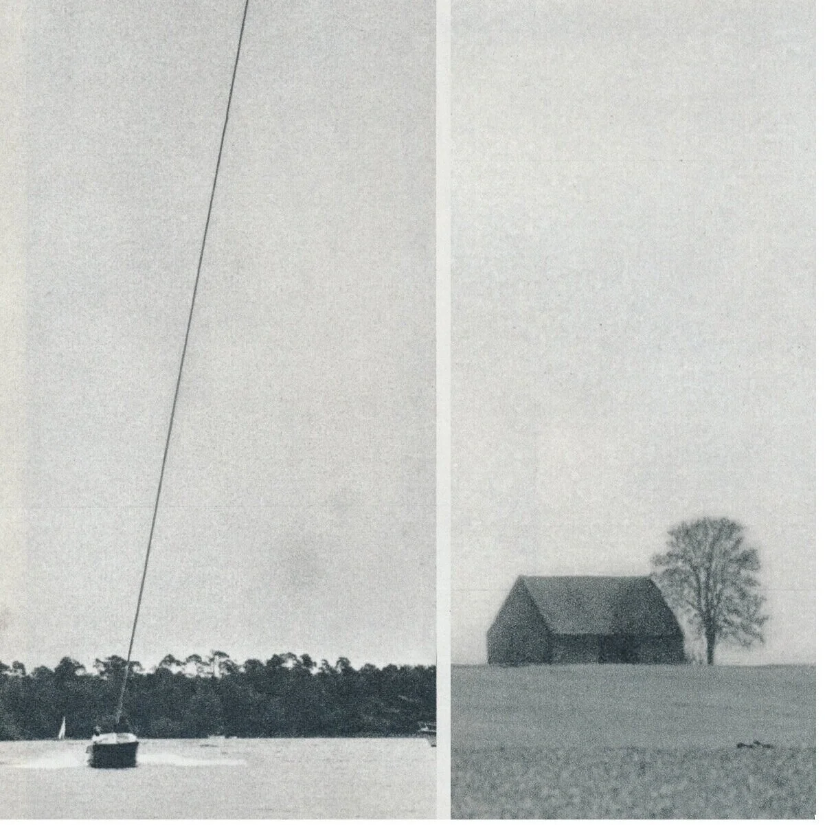 kite1.jpg