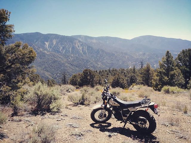 I feel really lucky to have the chance to get away for a few days. Been getting some beautiful riding in.