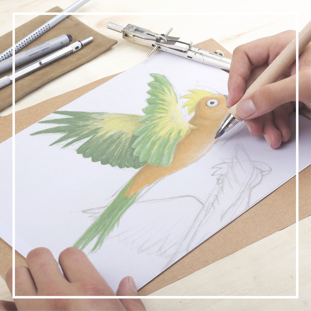 Illustration_COlour-01.png