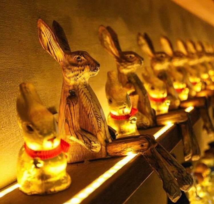 Elixir's famous bunnies