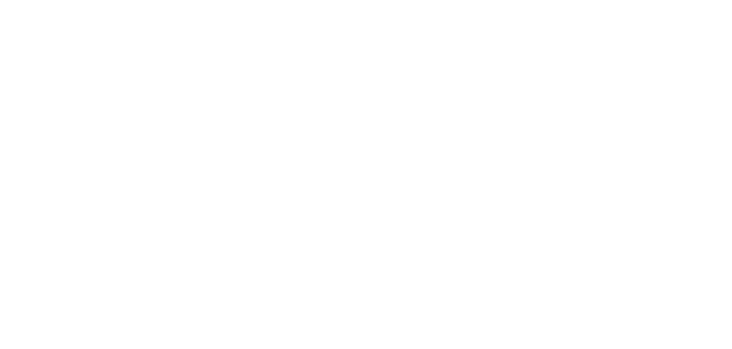 Dr Walter Flapper