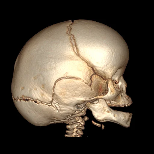 se004.jpg