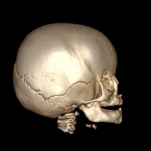 se004.jpg