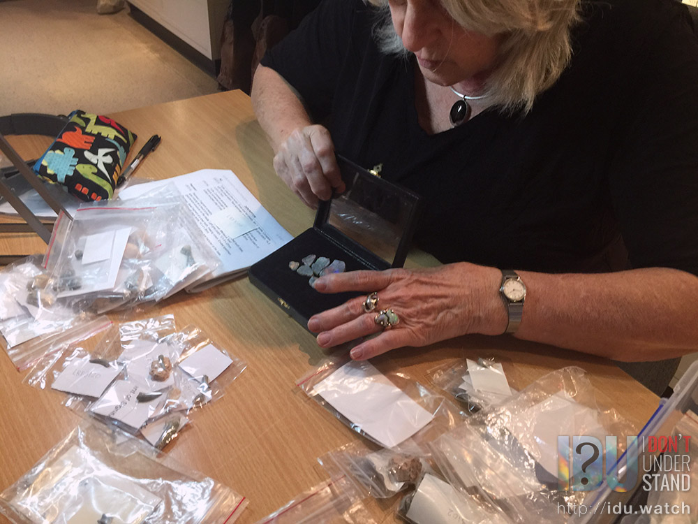 Examining the spectacularly beautiful turtle fossils.