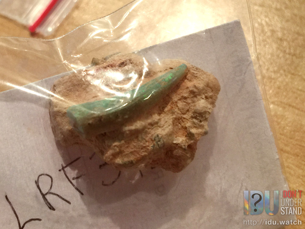 Dino tooth.