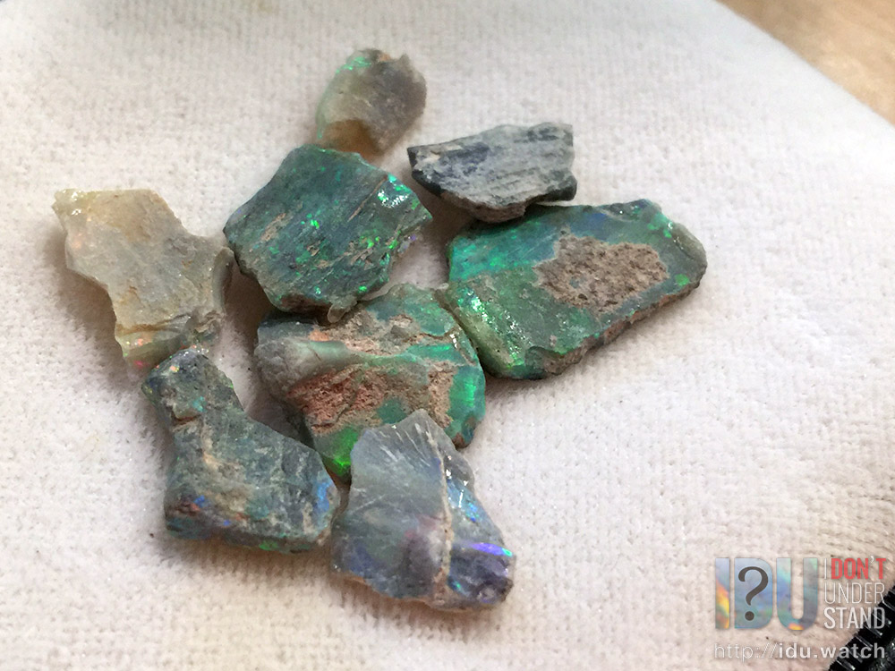 More incredible turtle pieces.