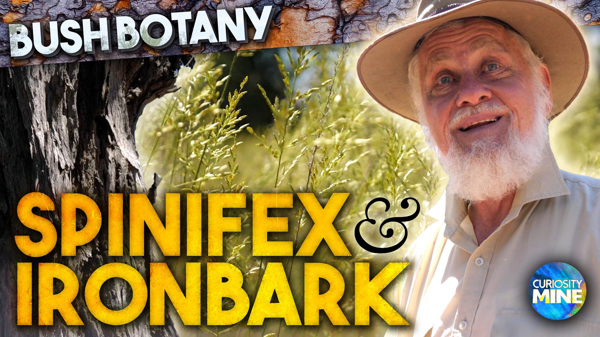 Spinifex &amp; Ironbark &amp; Quantum Physics - Bush Botany @ Lightning Ridge