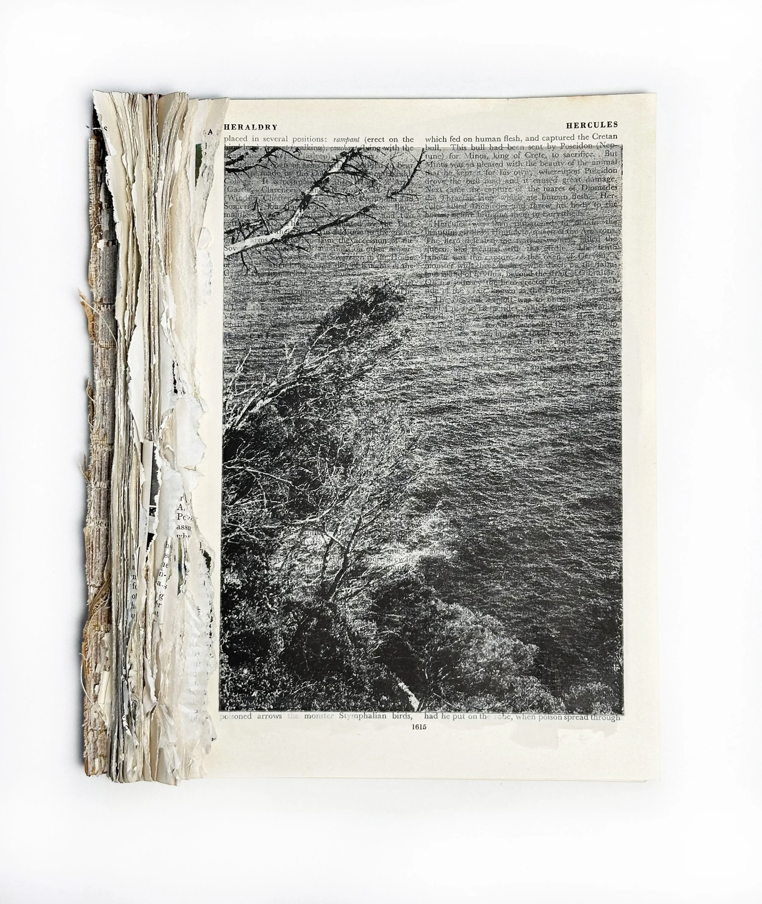 Sea I.jpg
