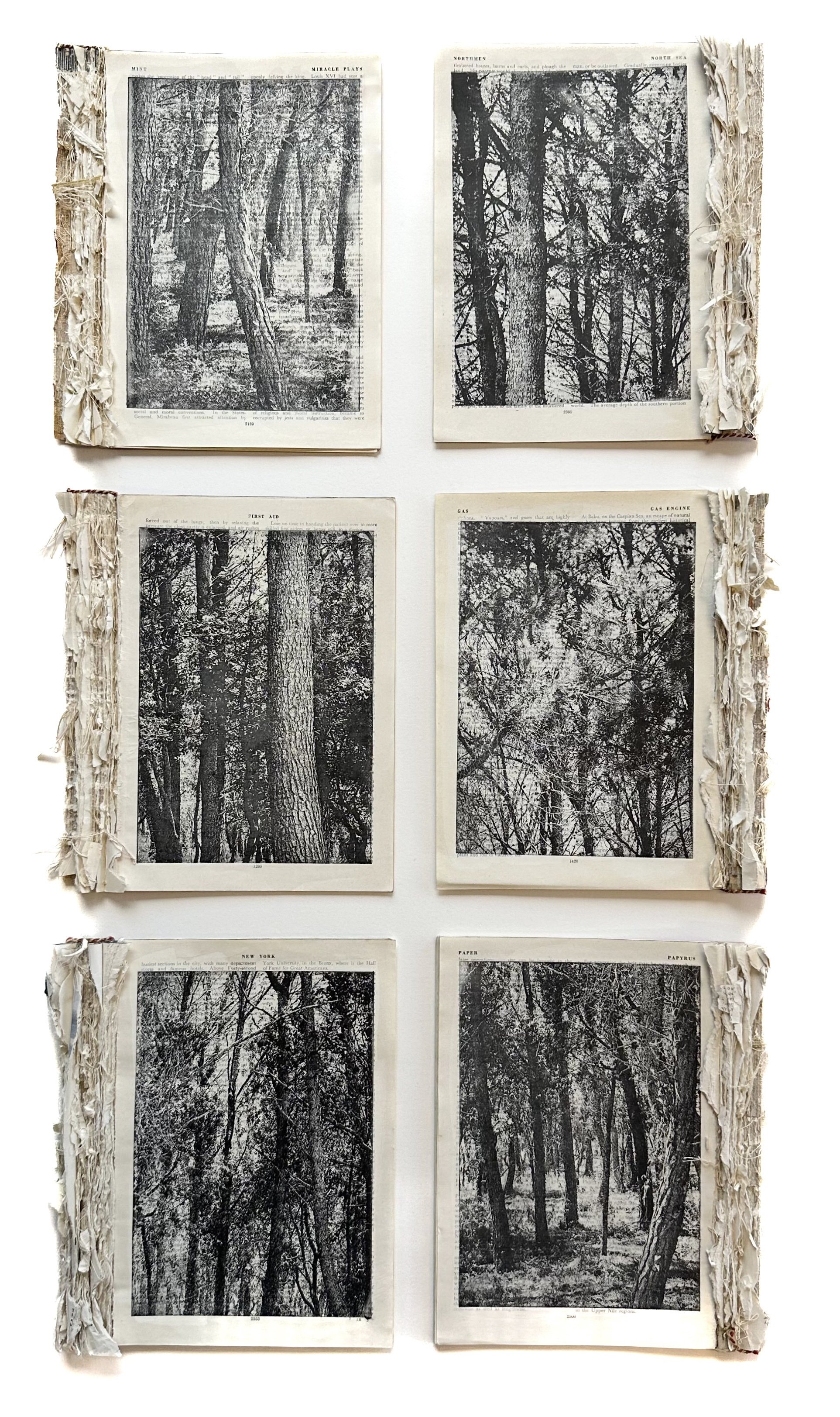 'Vol. 144' has been selected for the Royal West Academy 172 Annual Open Exhibition, 6 September - 28 December 2025.