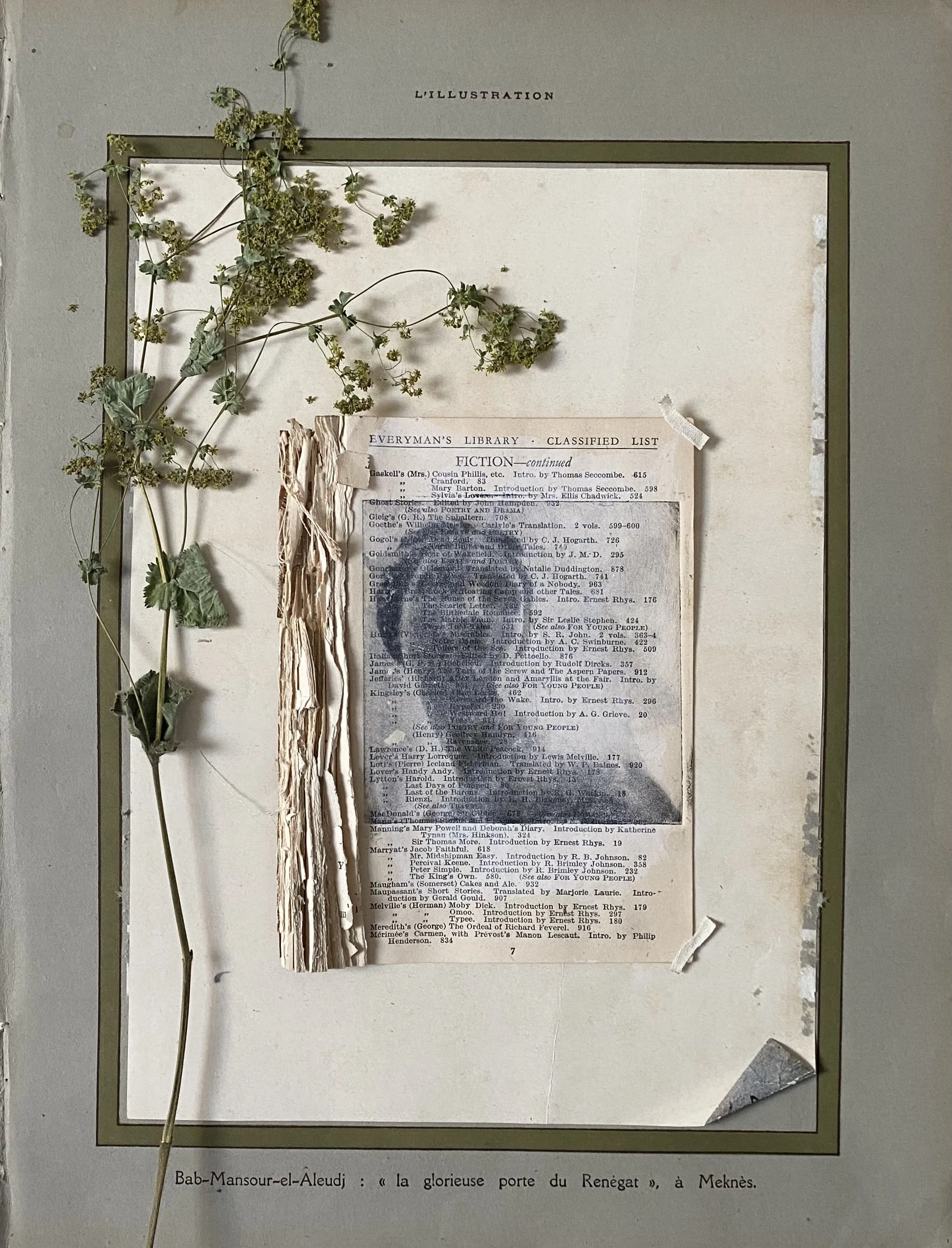 Statue Head, Polymer Gravure, 2D Assemblage