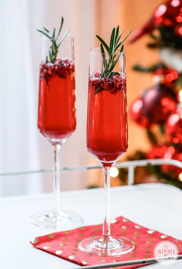 Pomegranate & Rosemary Gin Fizz (Image courtesy of Inspired by Charm )