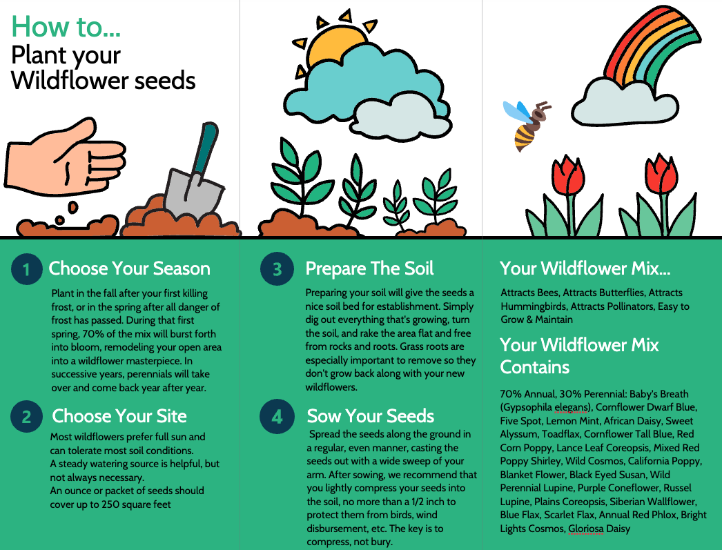 Wildflower Planting Instructions