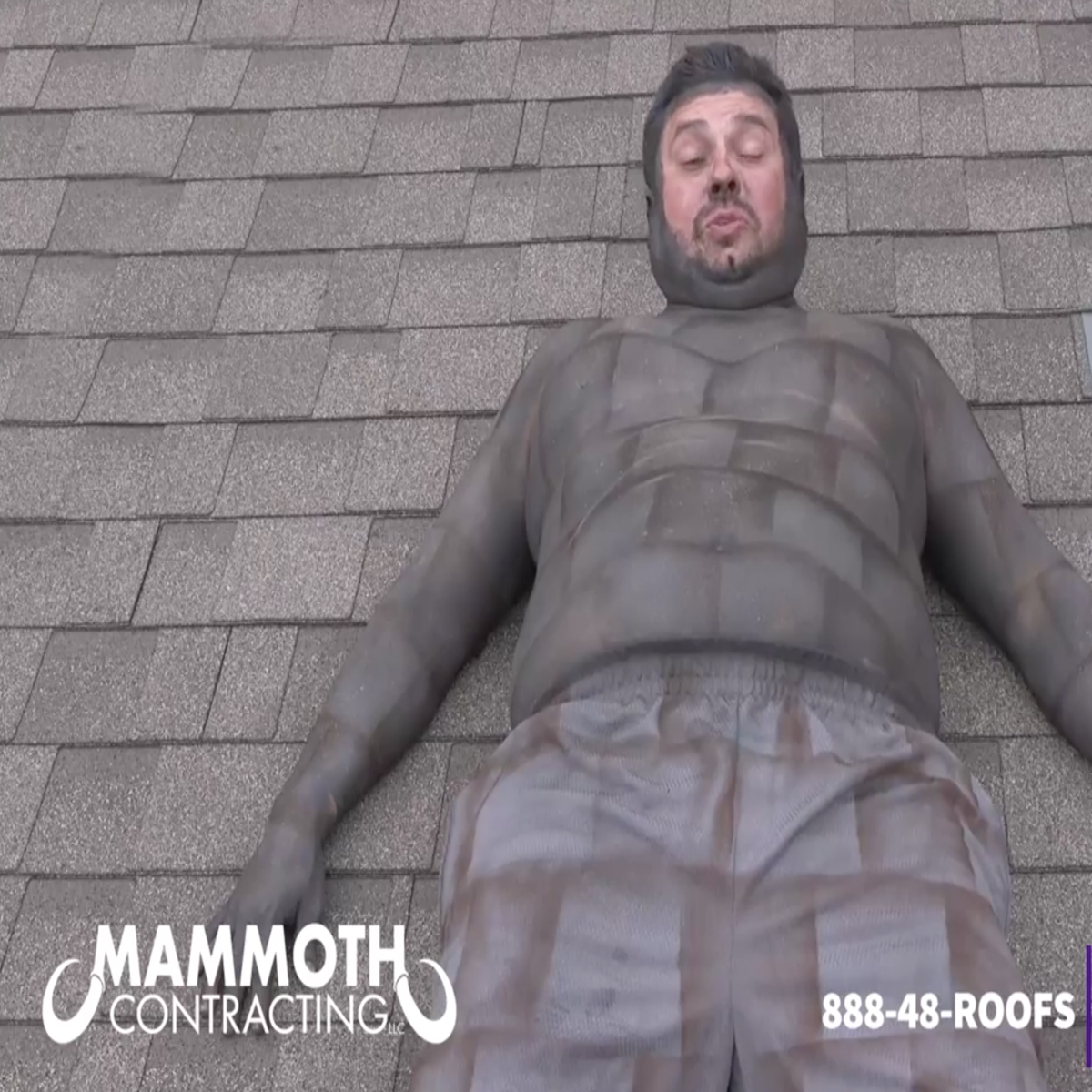 Be Nice To Your Roof