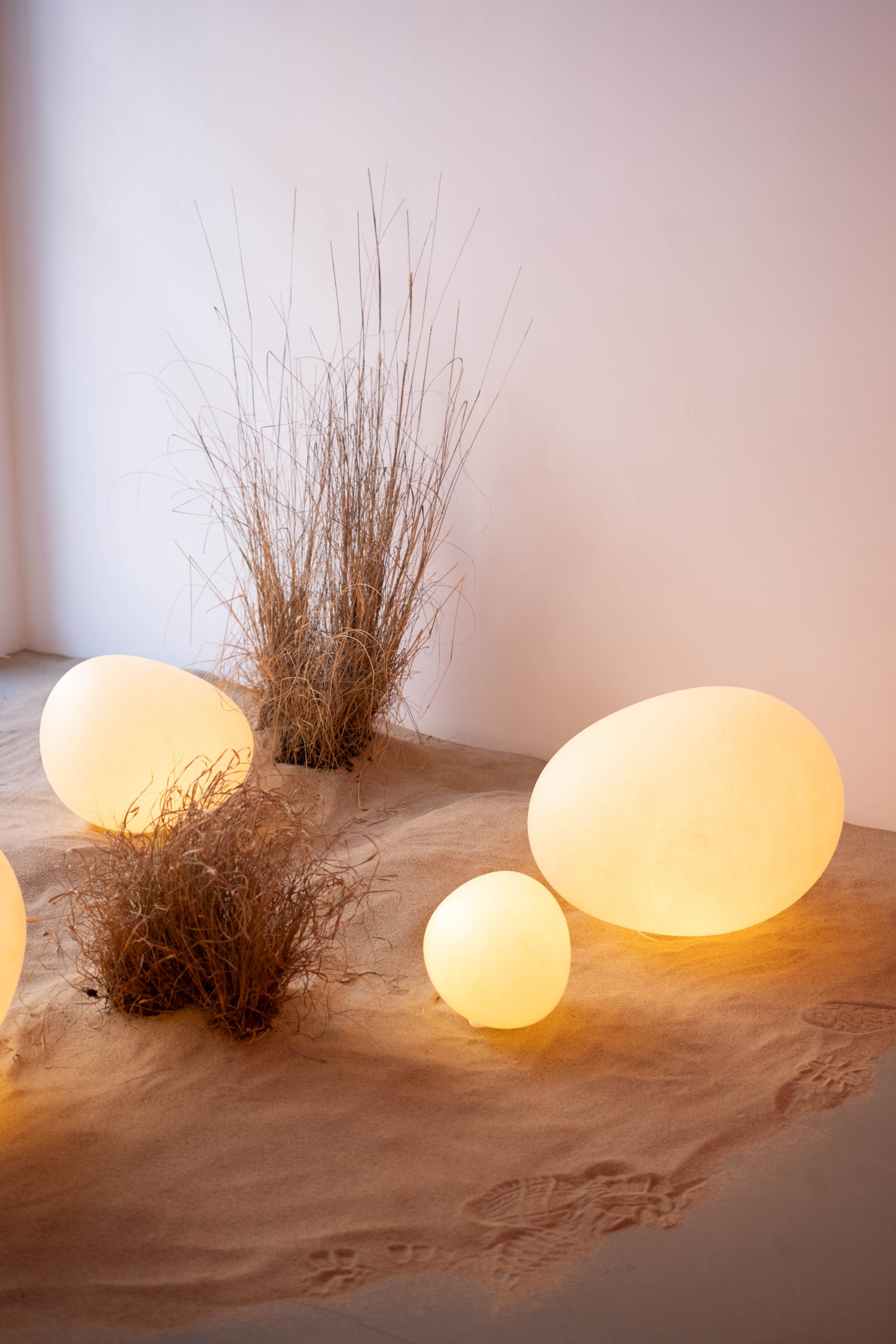Decorative dried grass arrangement with glowing orbs on a sandy surface against a plain wall.
