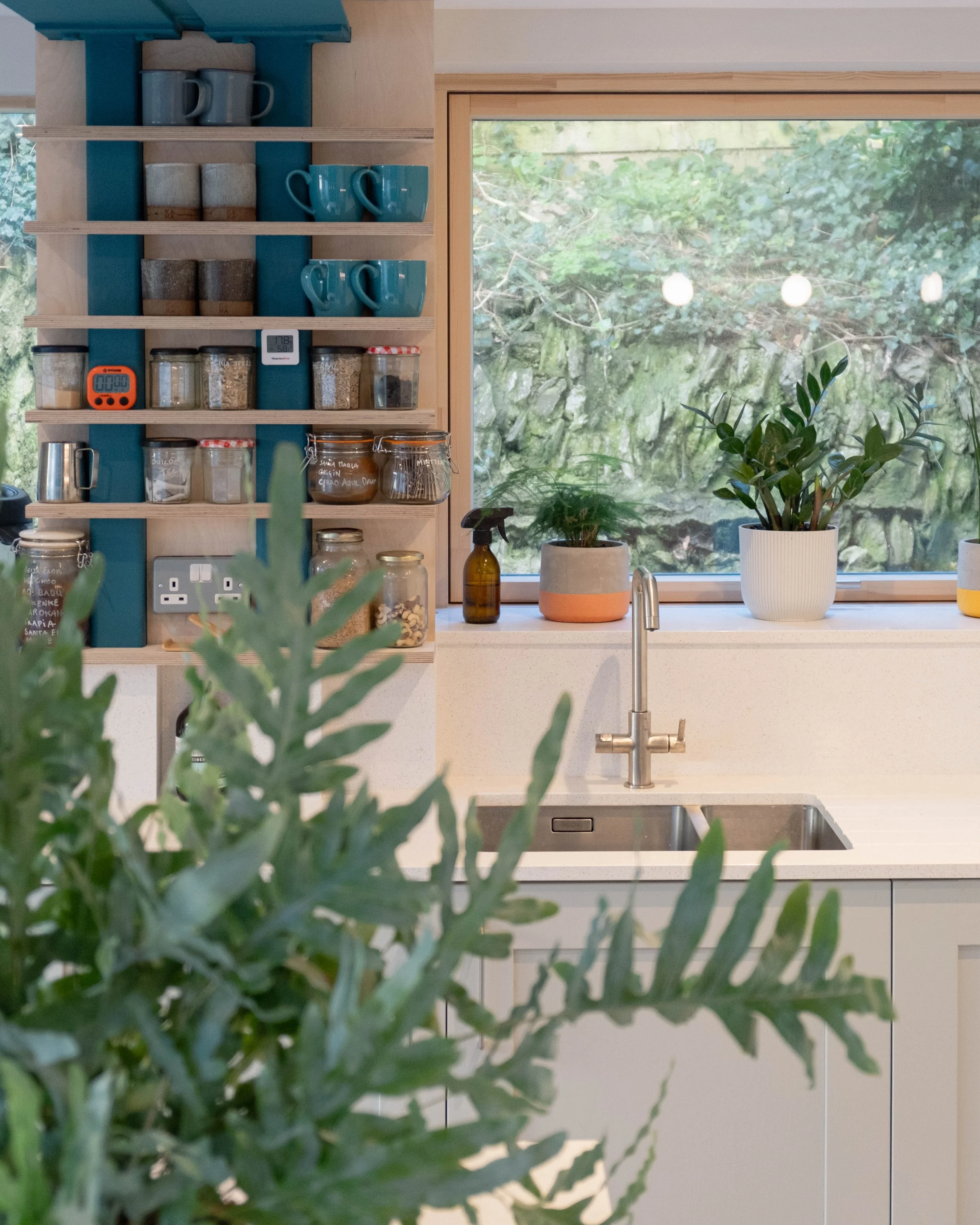 Kitchen with a wooden open shelving unit holding cups, jars, and containers, a window showing greenery outside, a potted plant on the countertop, and a kitchen sink with a faucet.