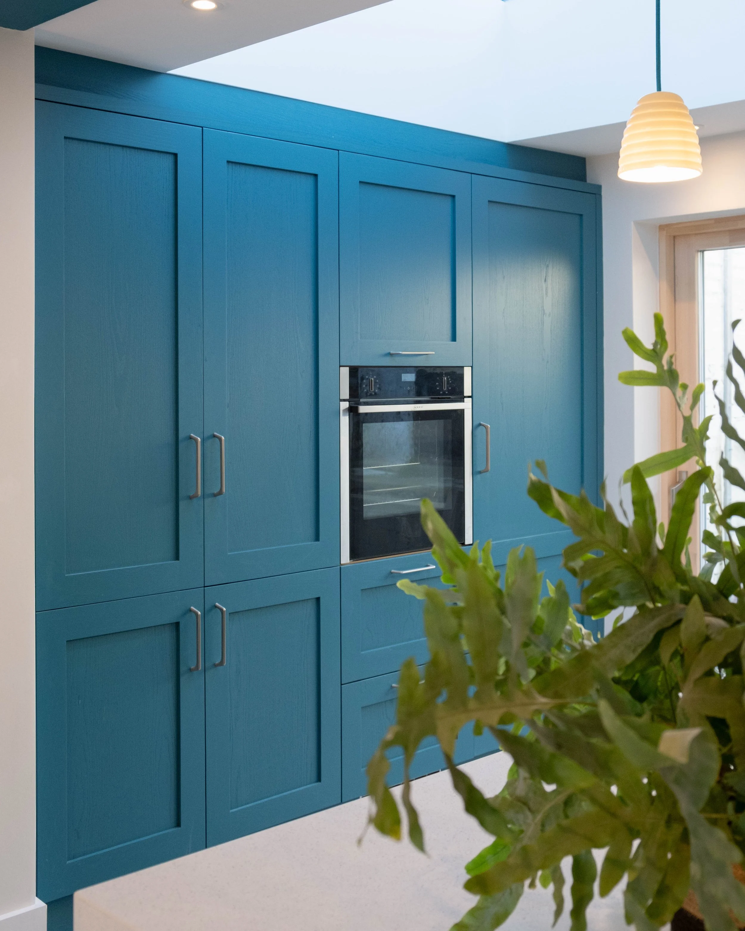 Blue kitchen cabinets with silver handles and built-in oven, white walls, and a plant with green leaves in the foreground. A ceiling light is also visible.