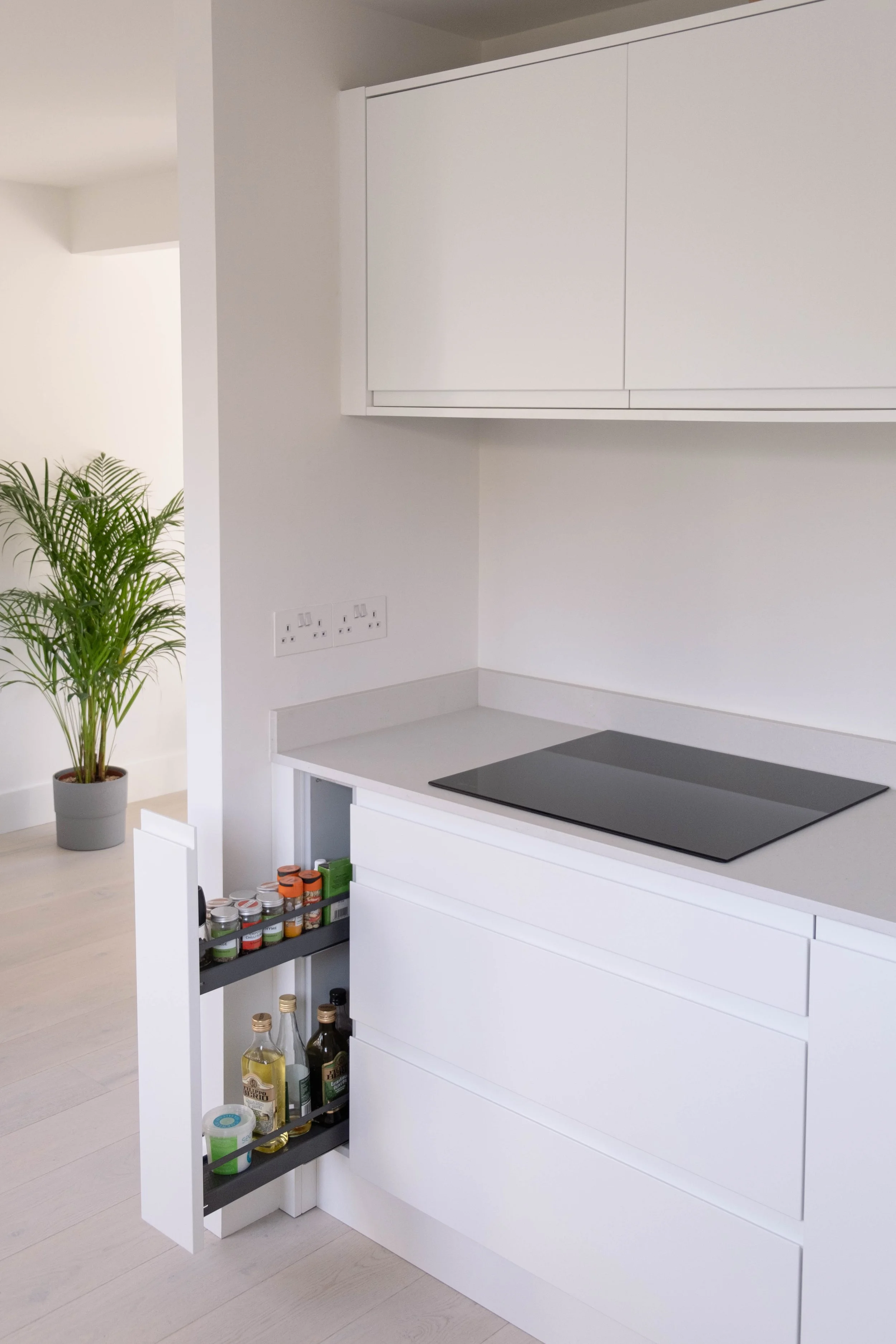 Modern kitchen with white cabinetry, a black electric stove top, a potted plant, and an open cabinet drawer with spice jars and bottles inside.
