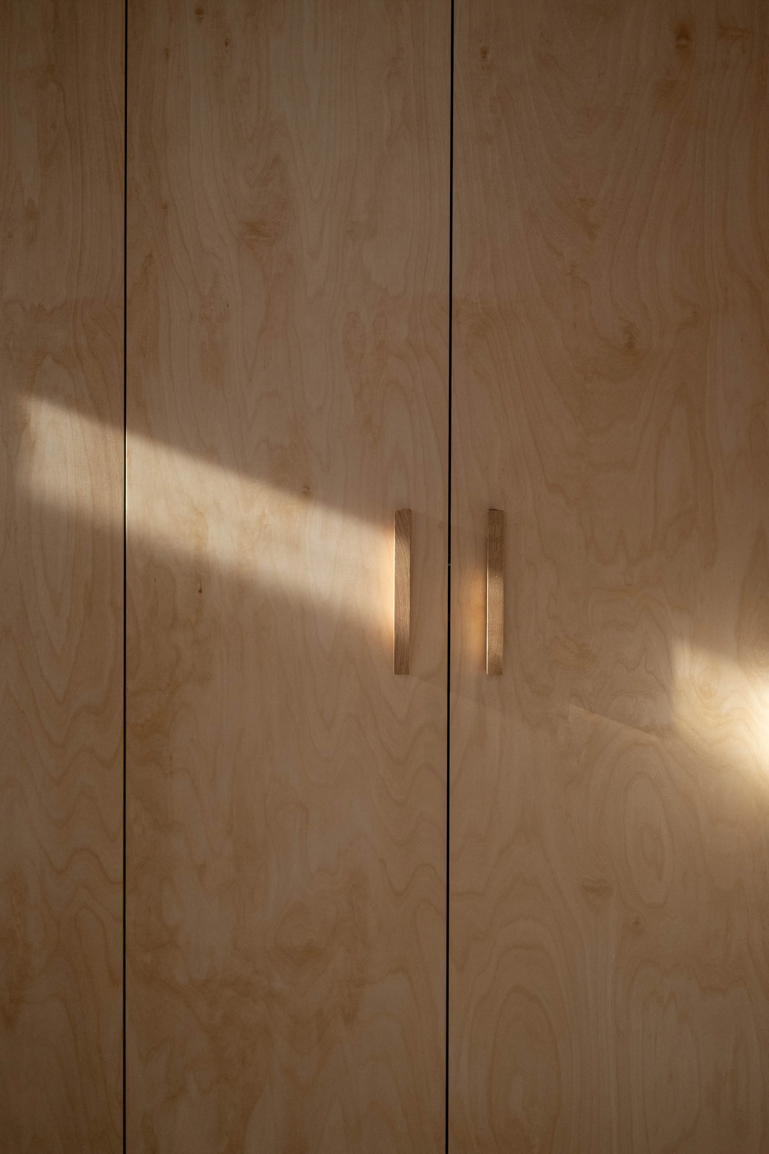 Wooden closet with vertical grain pattern, featuring two closed doors with vertical wooden handles.
