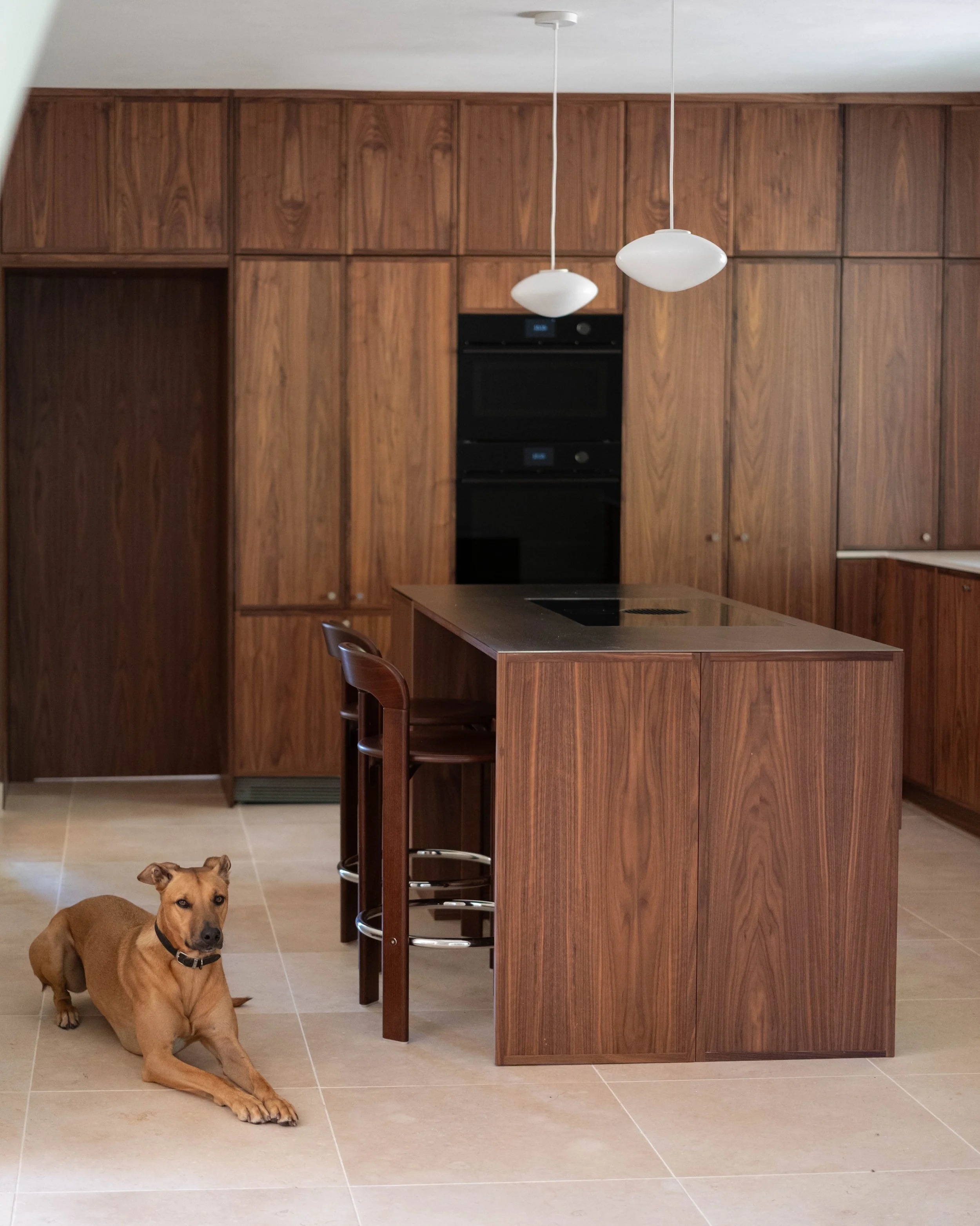 A brown dog with a black collar lying on a tiled floor in front of a wooden kitchen island and cabinets, with a wood-paneled wall and built-in oven in the background.