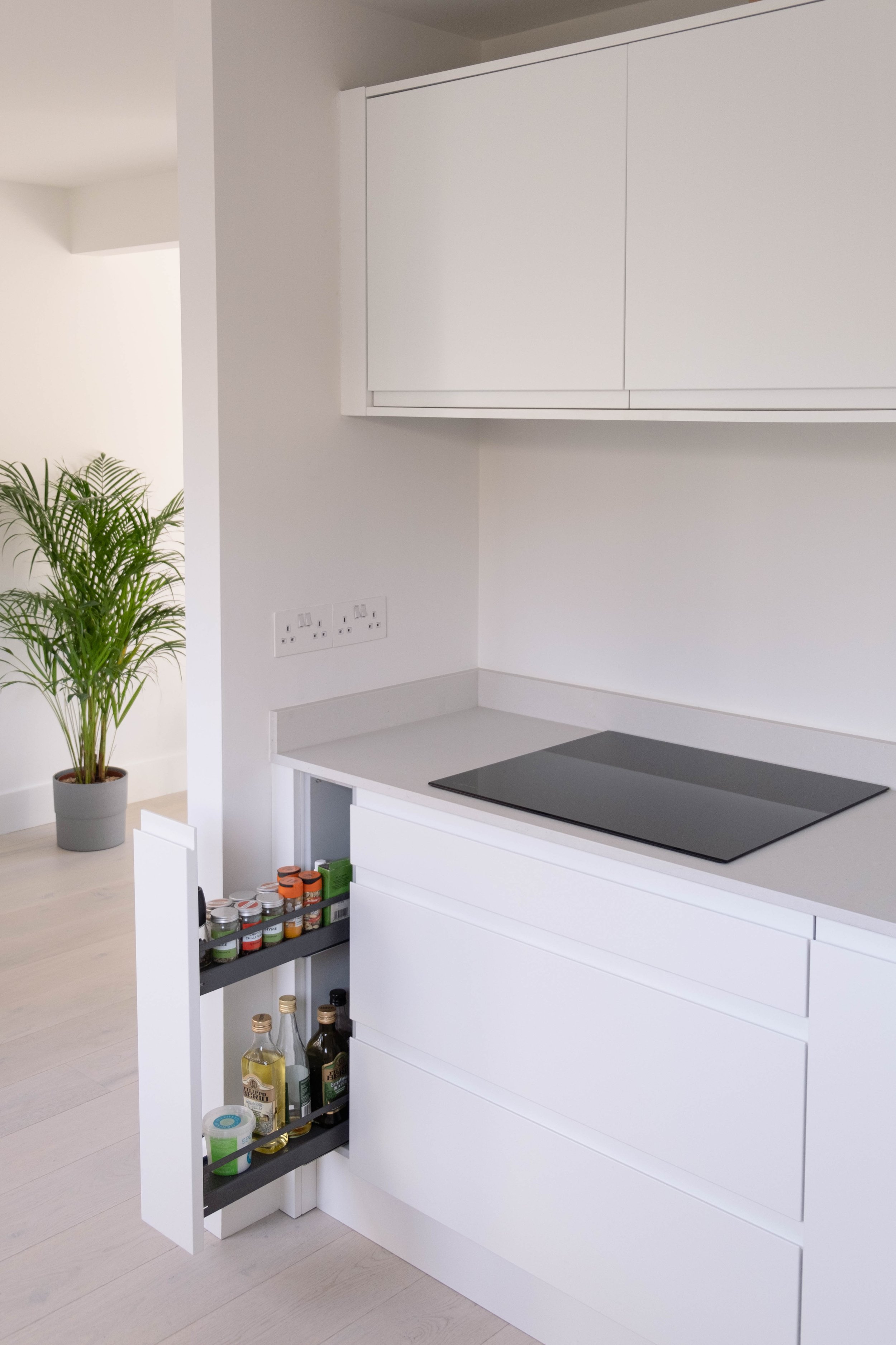 A white kitchen cabinet with an open drawer revealing shelves with spices, oils, and condiments. A gray induction cooktop is on the countertop. A green potted plant is in the background near white walls and electrical outlets.