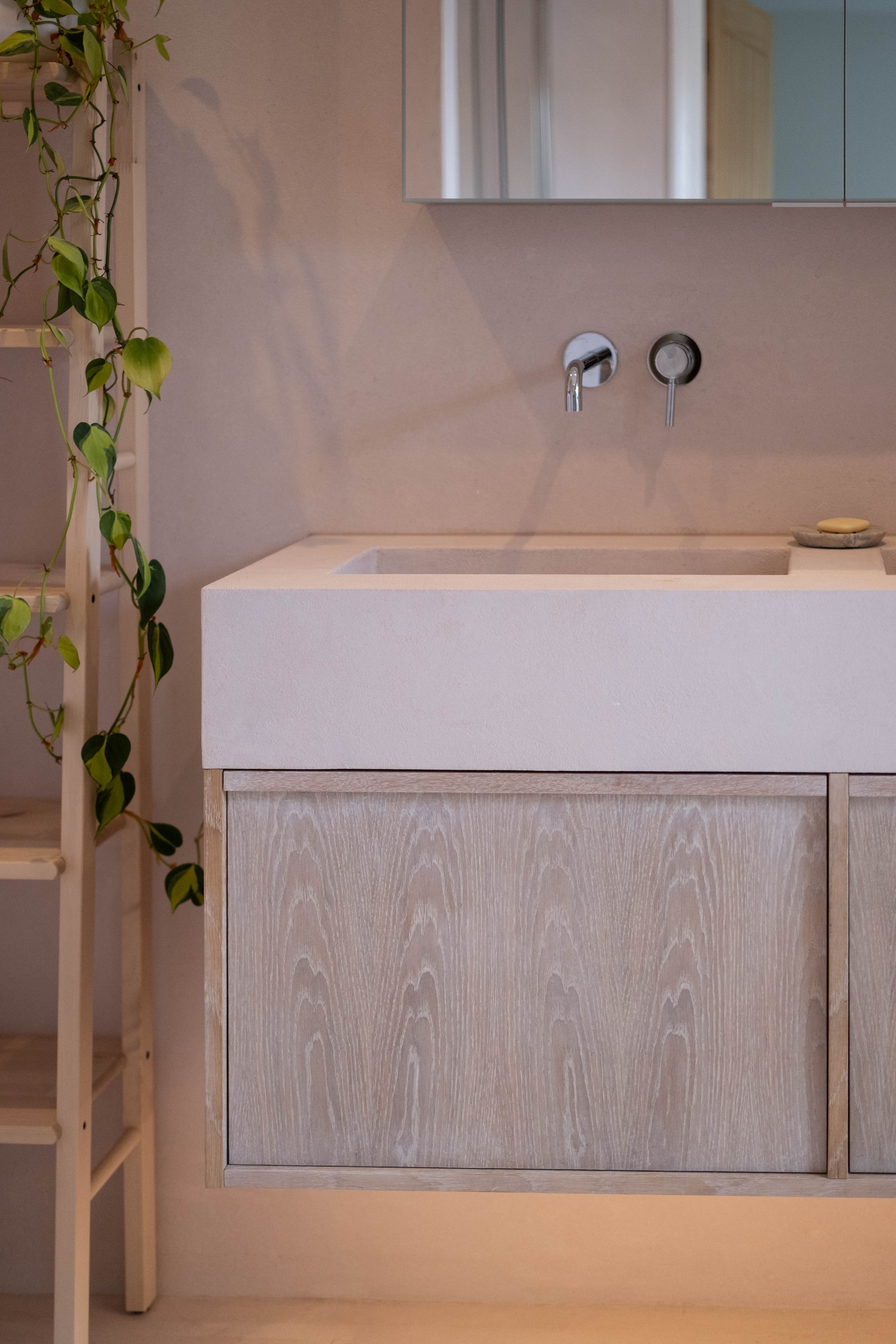 A modern bathroom vanity with a sink, mirror, soap dish, and potted plant.