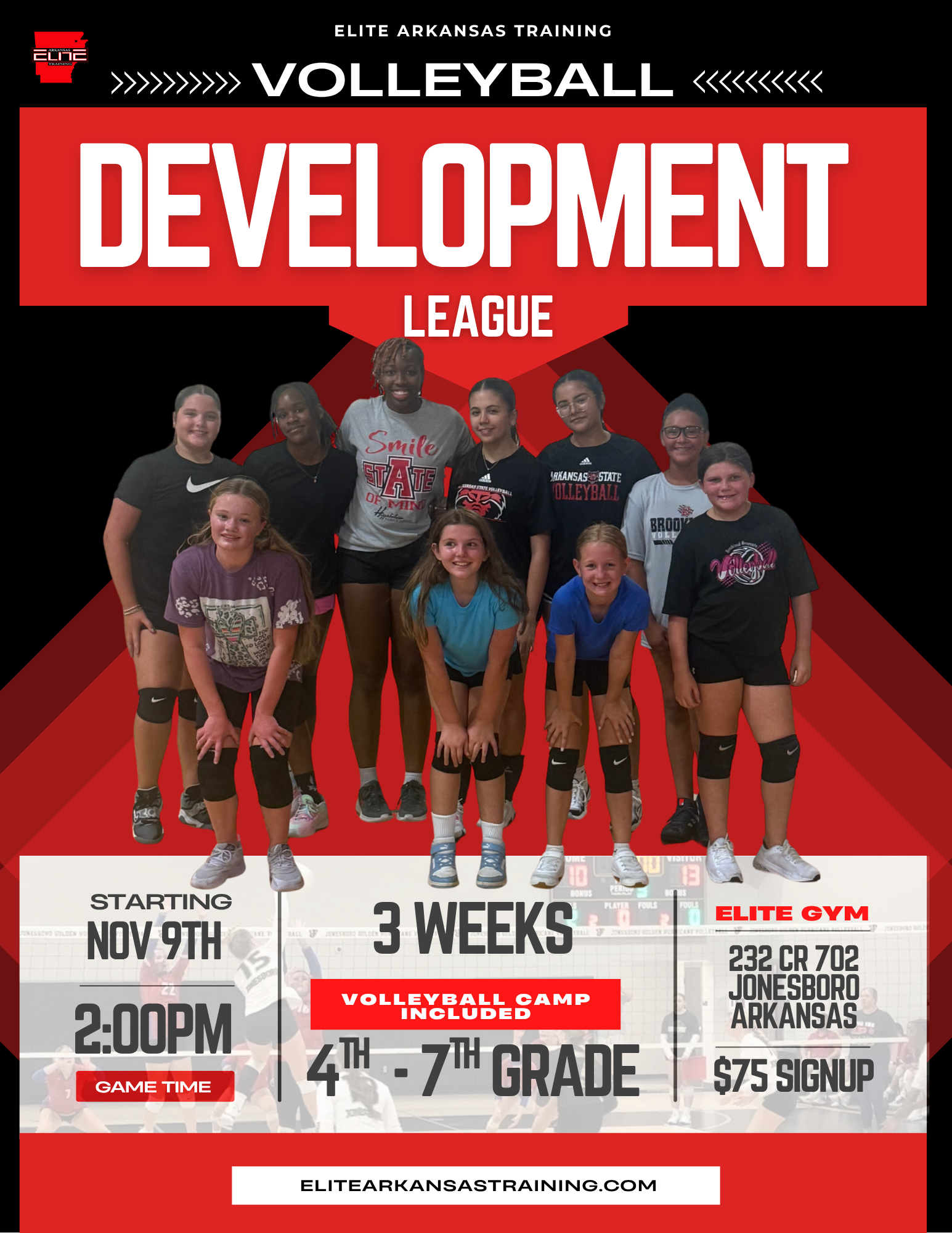 Development League _ vball.png