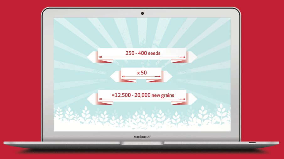 'The Grainiacs' helps 7-11 year olds understand where their breakfast cereal comes from by taking them on a journey from seed to spoon. 