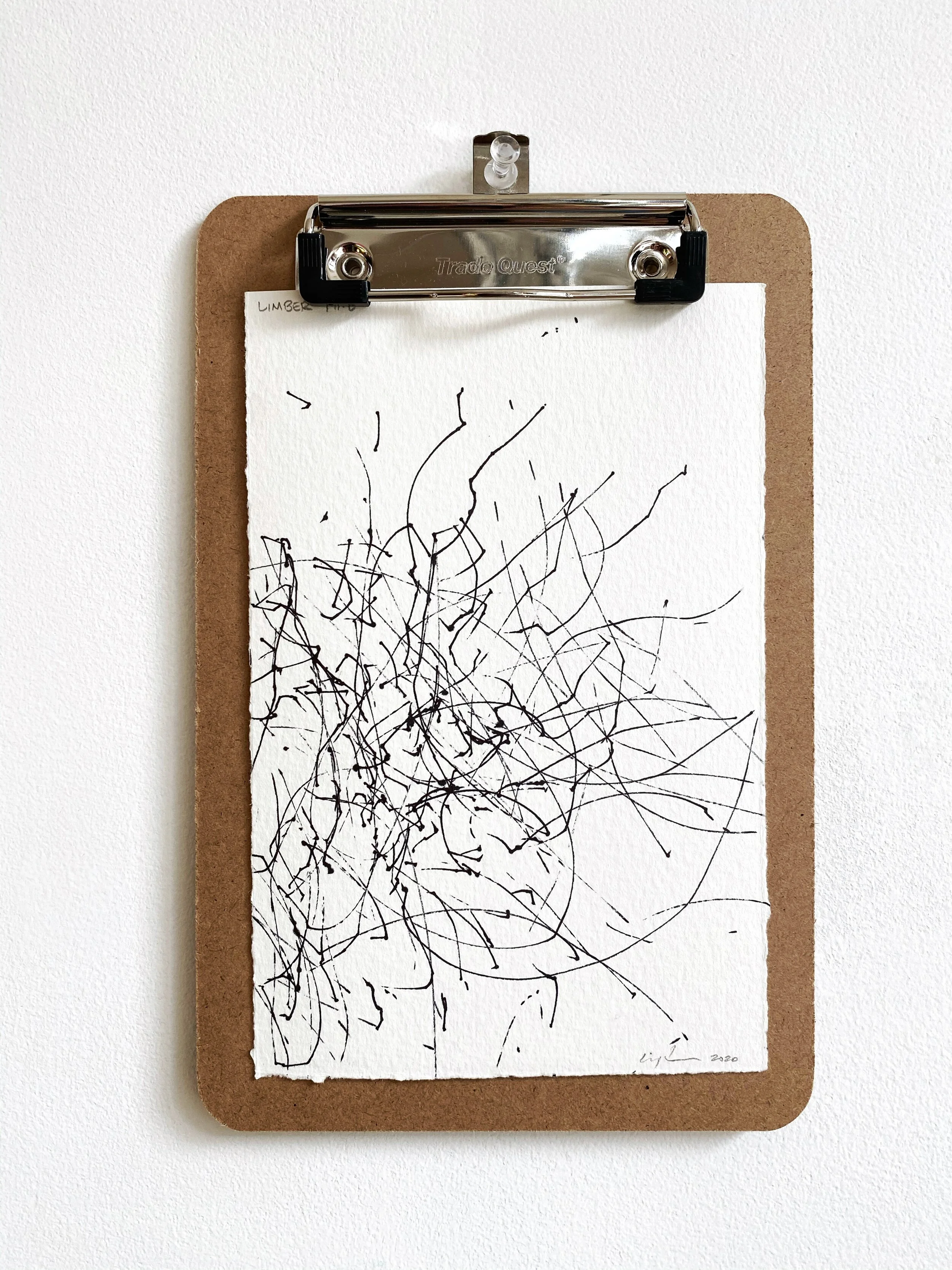 Tree Acquaintances: Limber Pine - No. 3, 2020, ink on paper, 7.5" x 5"