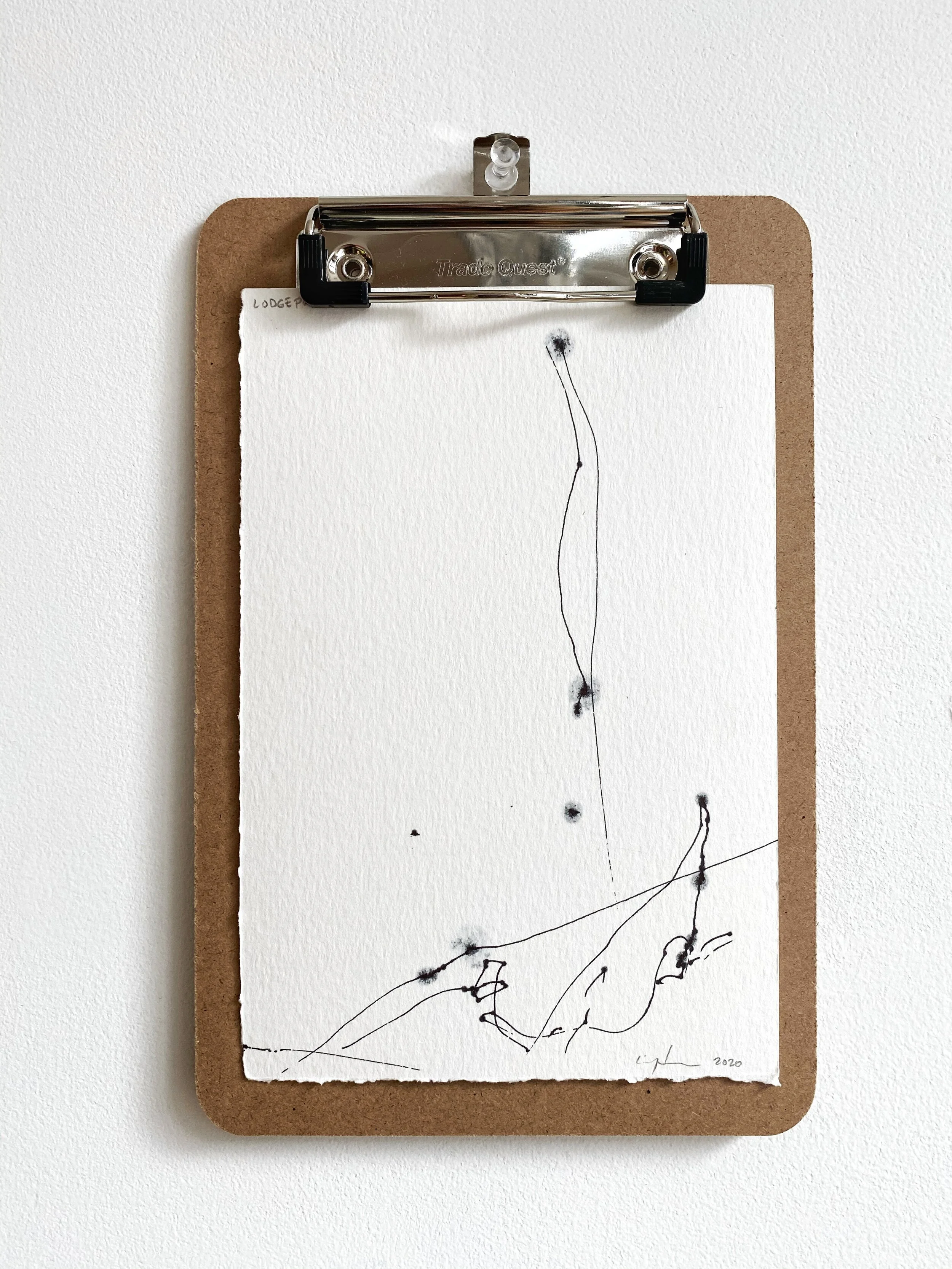 Tree Acquaintances: Limber Pine - No. 3, 2020, ink on paper, 7.5" x 5"