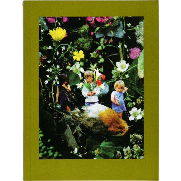 m-collishaw-standard.png