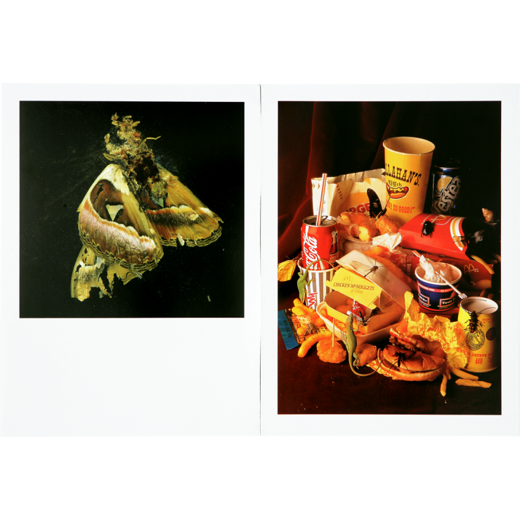 m-collishaw08.png