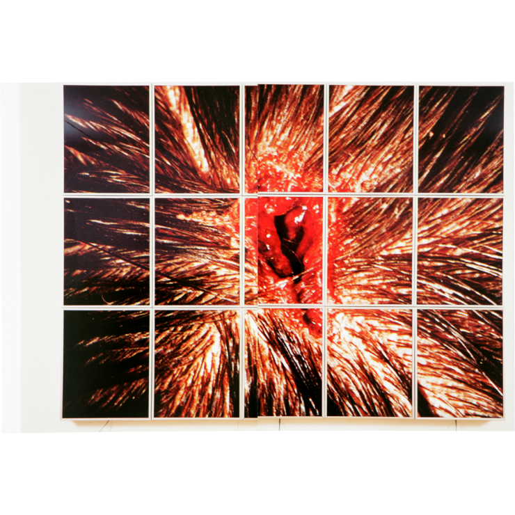 m-collishaw07.png