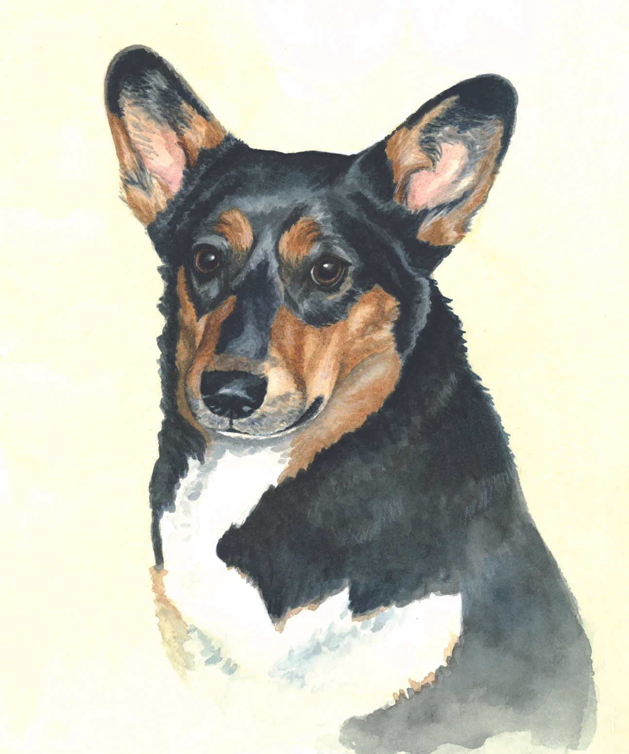1 Corgi.jpg