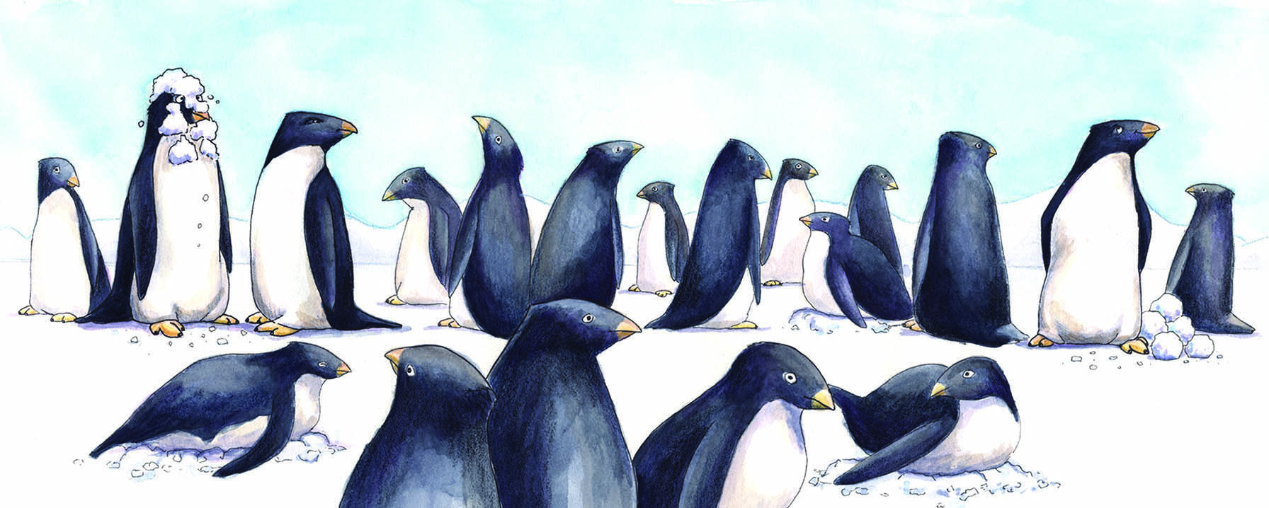 Penguins.jpg