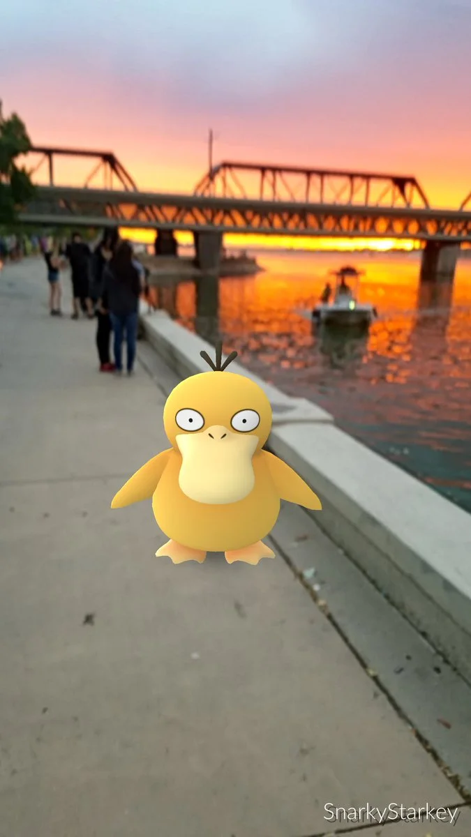 So beautiful: a Water-pokemon in Phoenix! Oh, I guess the sunset was nice too...